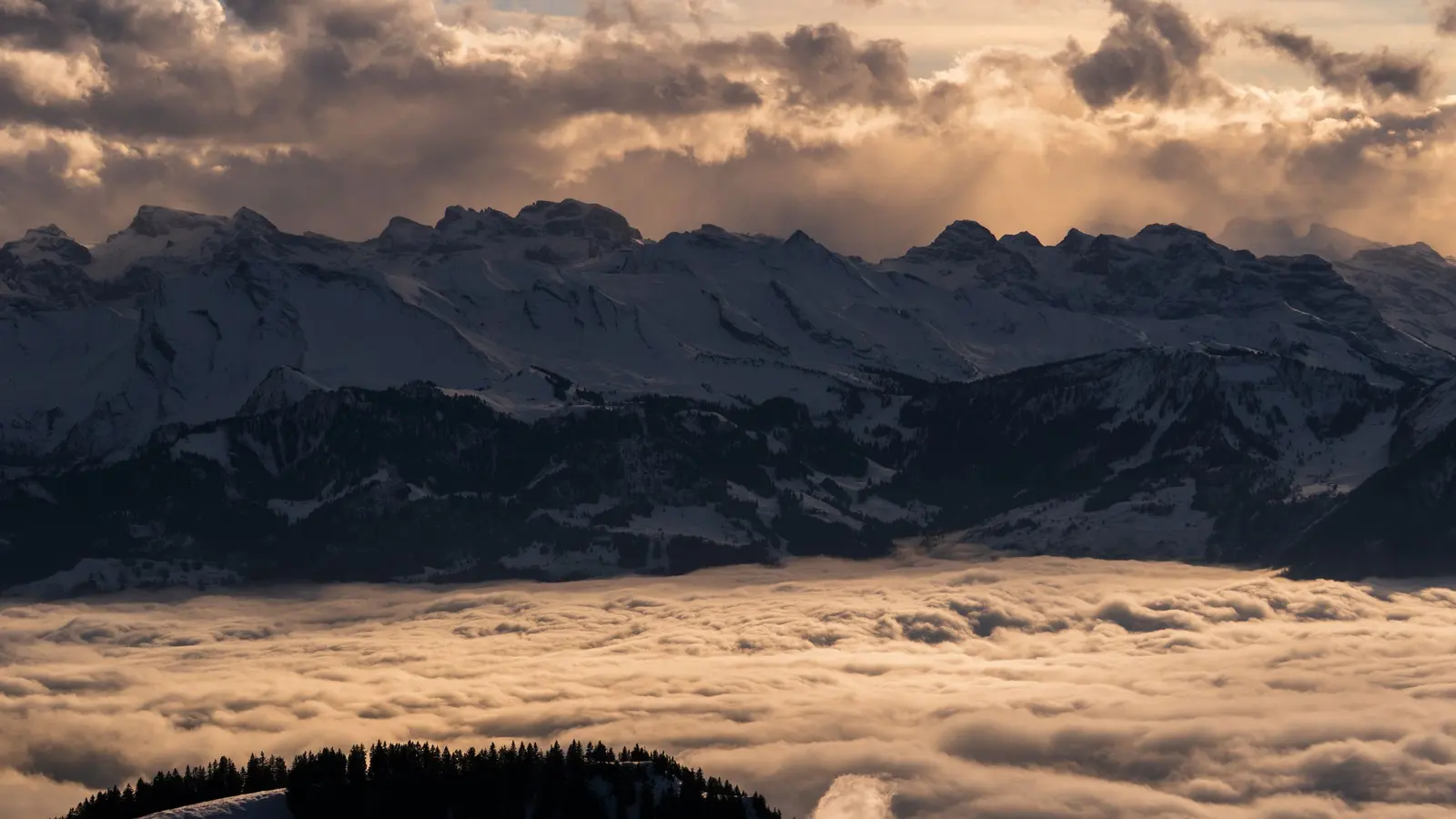Cime innevate che spuntano da un mare di nubi nella luce dorata del tramonto