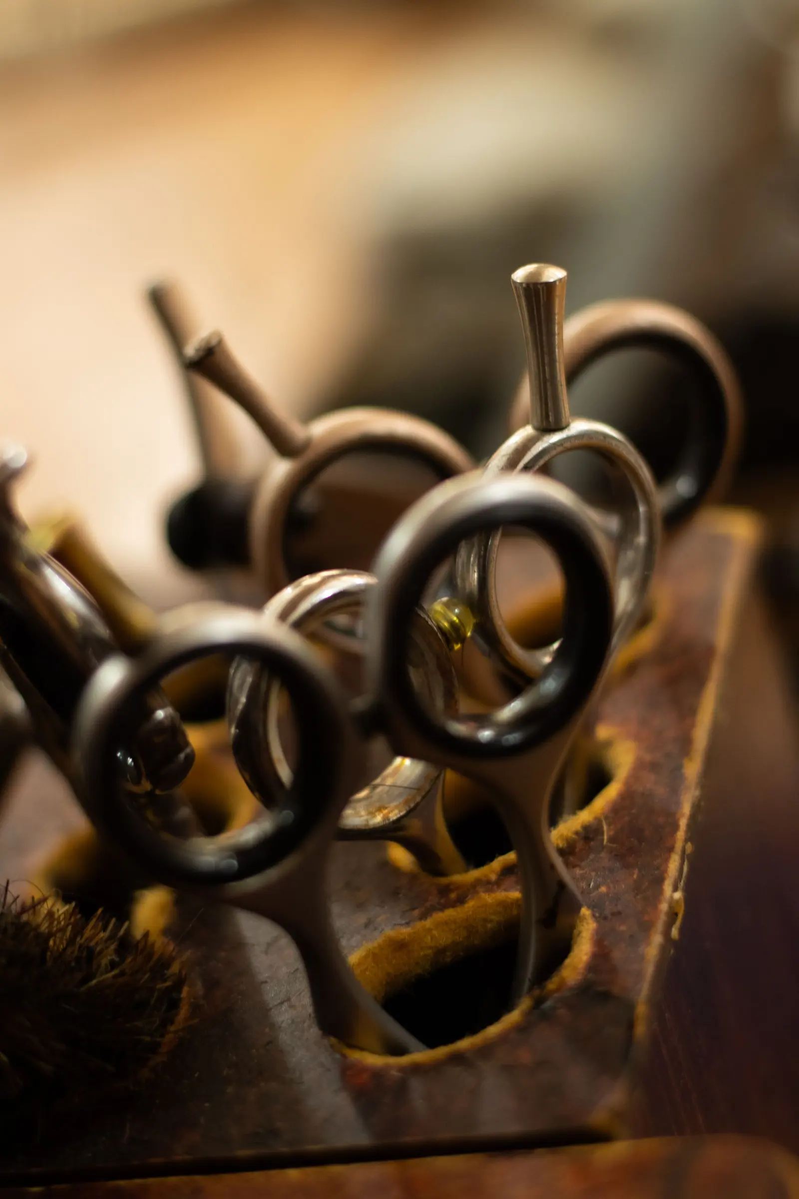 Forbici antiche con gli anelli d'ottone infilate in un supporto di legno