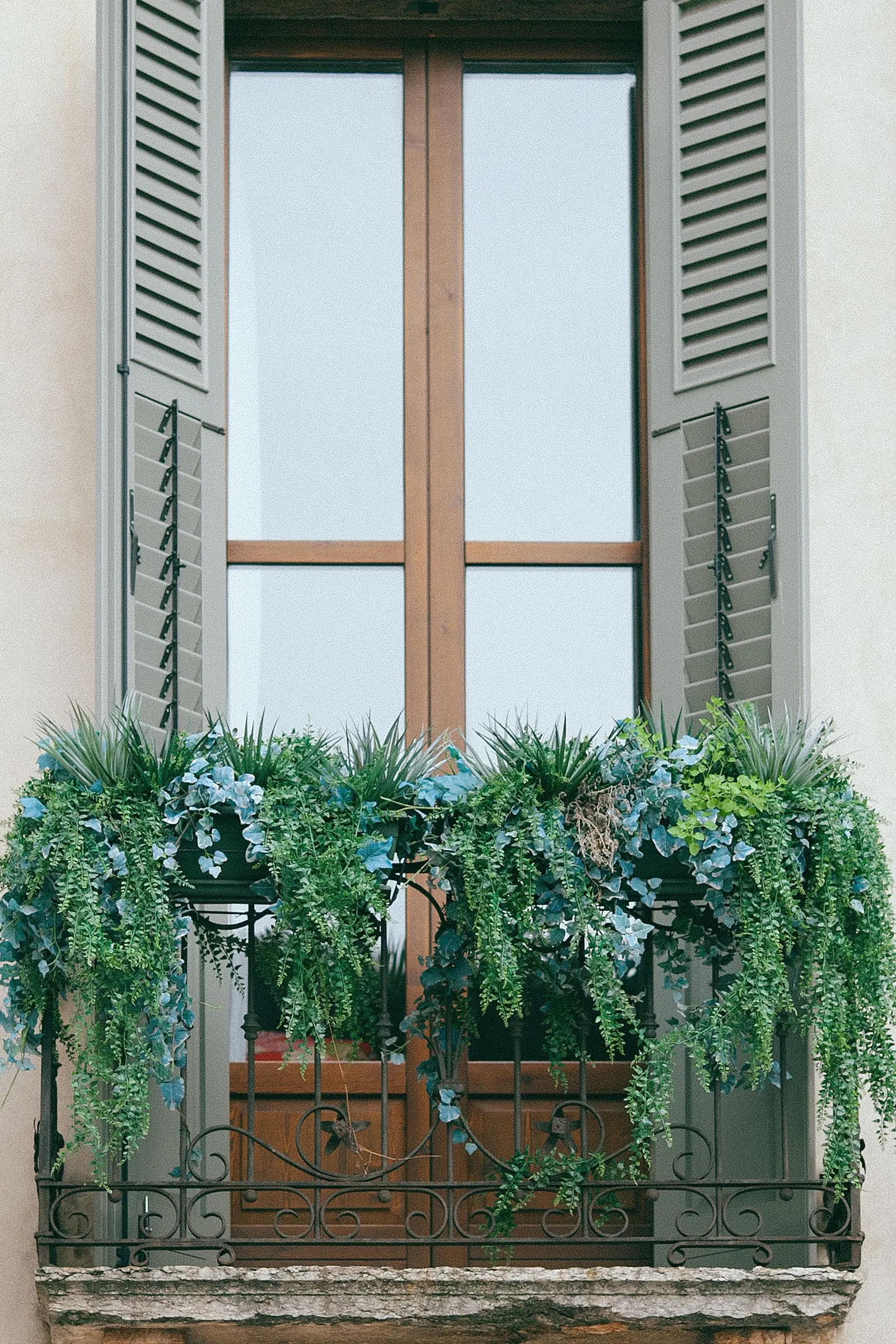 Balcone in ferro battuto pieno di piante, con scuri verdi aperti