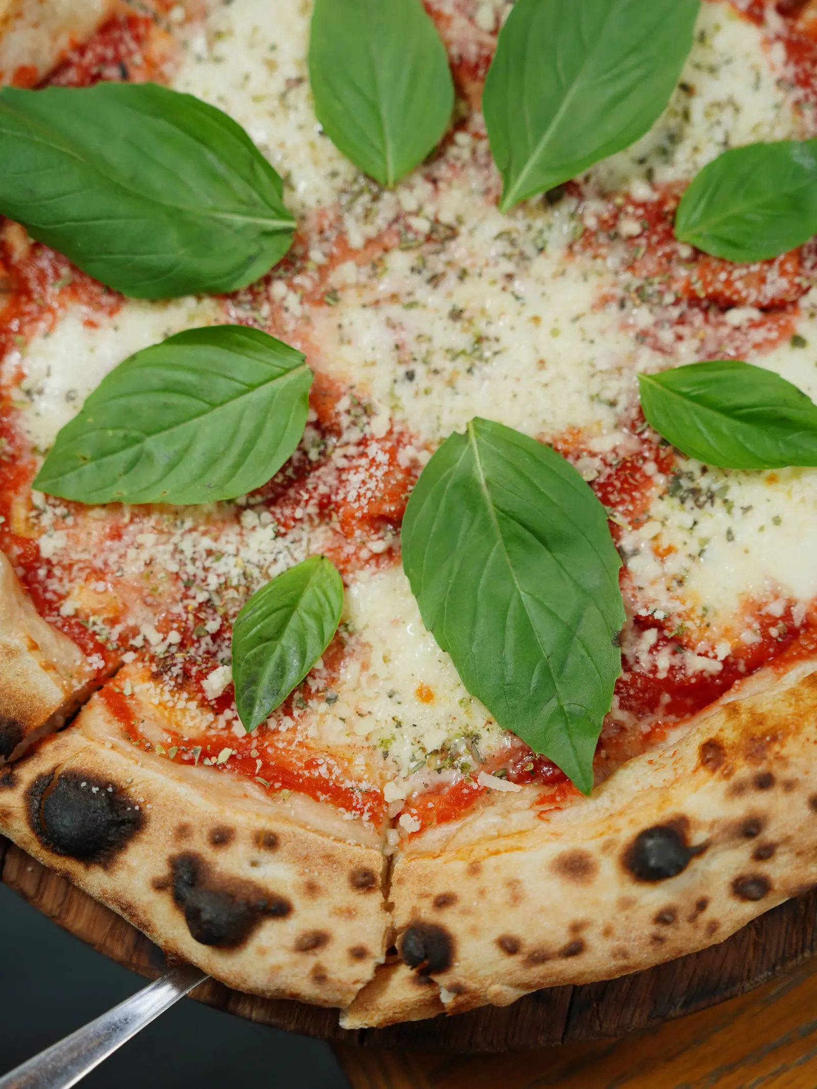 Una margherita vista dall'alto: pomodoro, fior di latte a pezzi e foglie di basilico, cornicione maculato dal forno