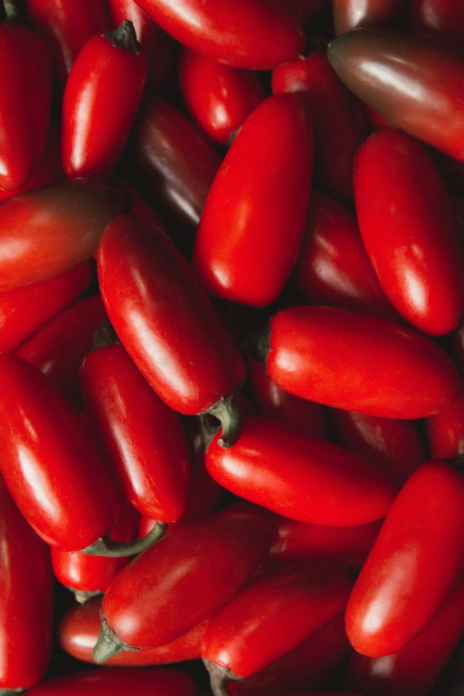 Pomodori rossi allungati ammucchiati, da vicino