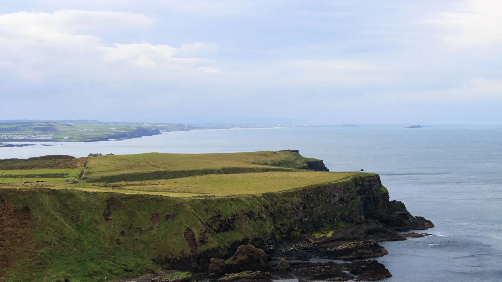 La costa verde vicino al Centro Trifoglio, con la scogliera e il mare grigio dell'Irlanda