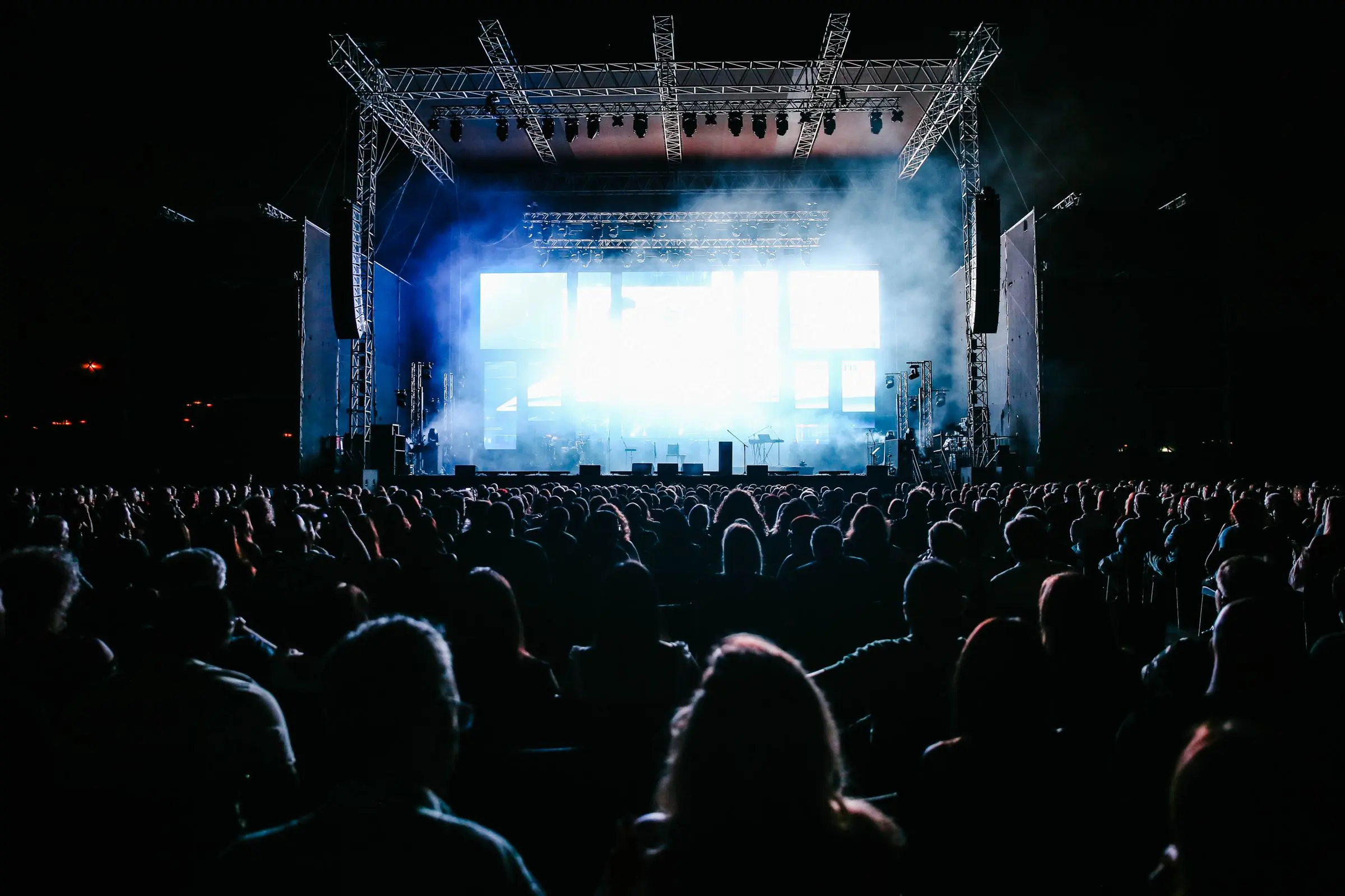 Il pubblico di un concerto all'aperto, di notte, visto di spalle davanti a un palco illuminato di bianco e azzurro, con il fumo di scena