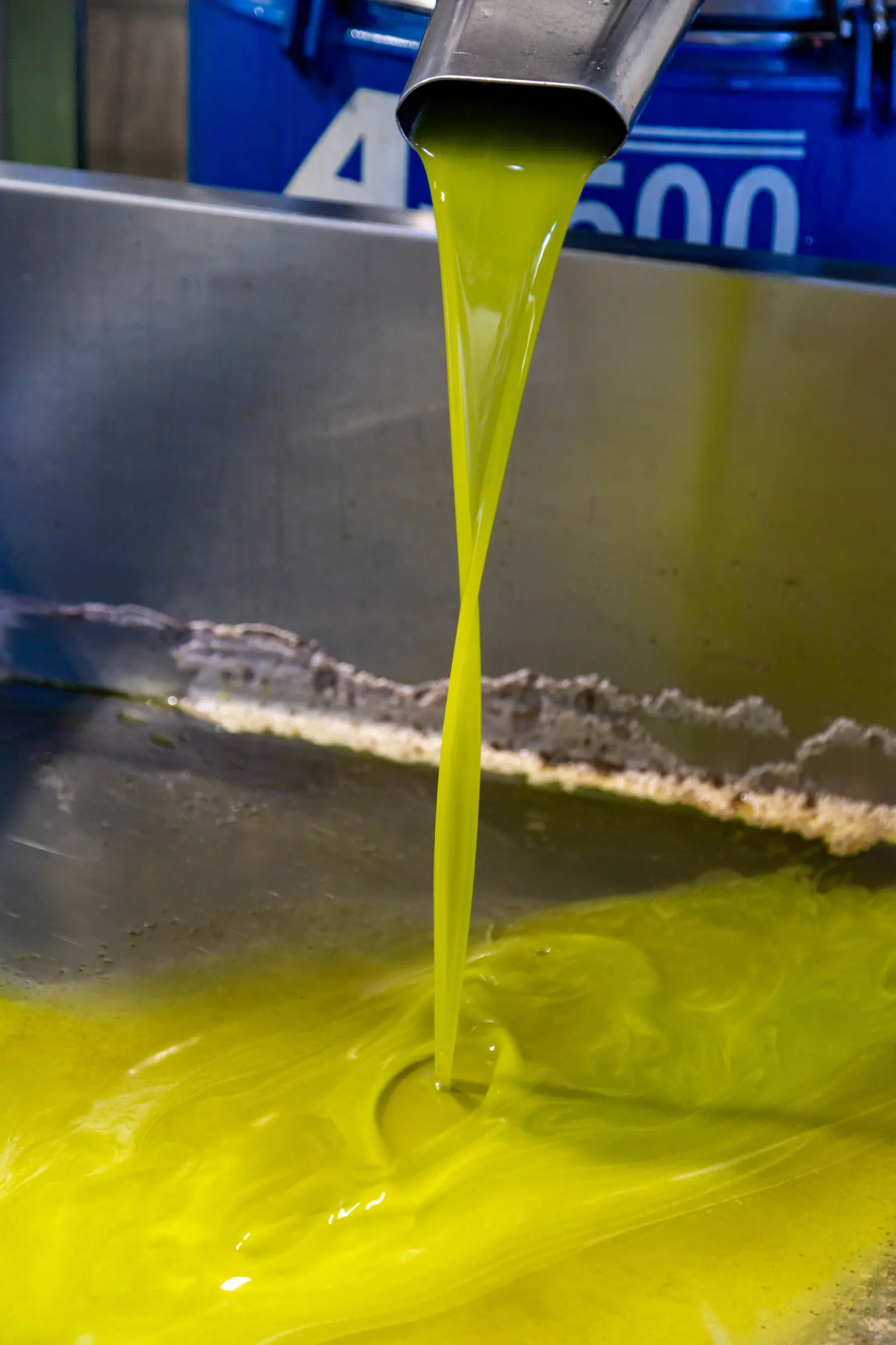 Olio nuovo verde brillante che scende dal beccuccio d'acciaio nella vasca