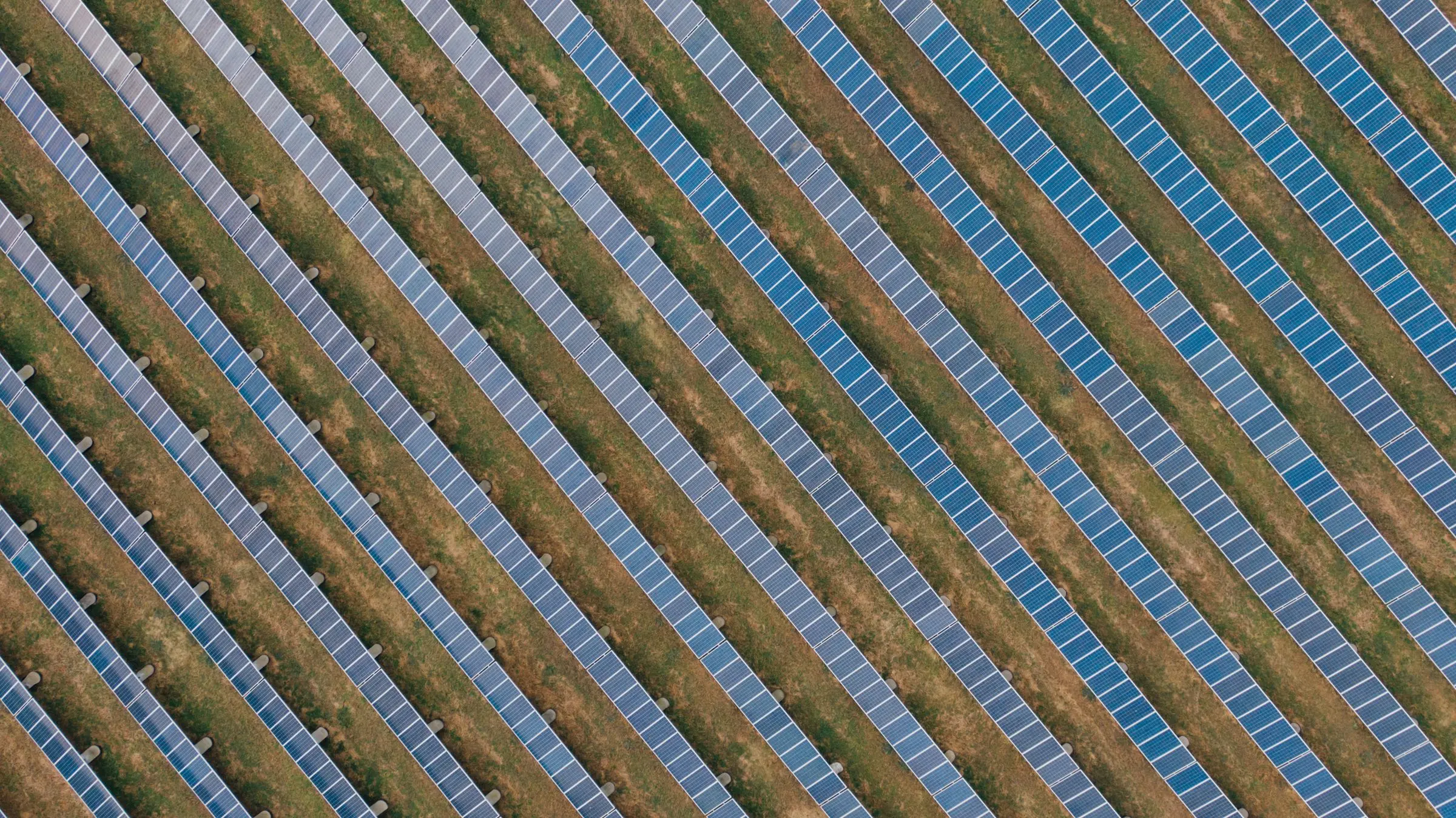 Campo fotovoltaico visto dall'alto: lunghe file di pannelli in diagonale sull'erba, con tre anomalie segnate