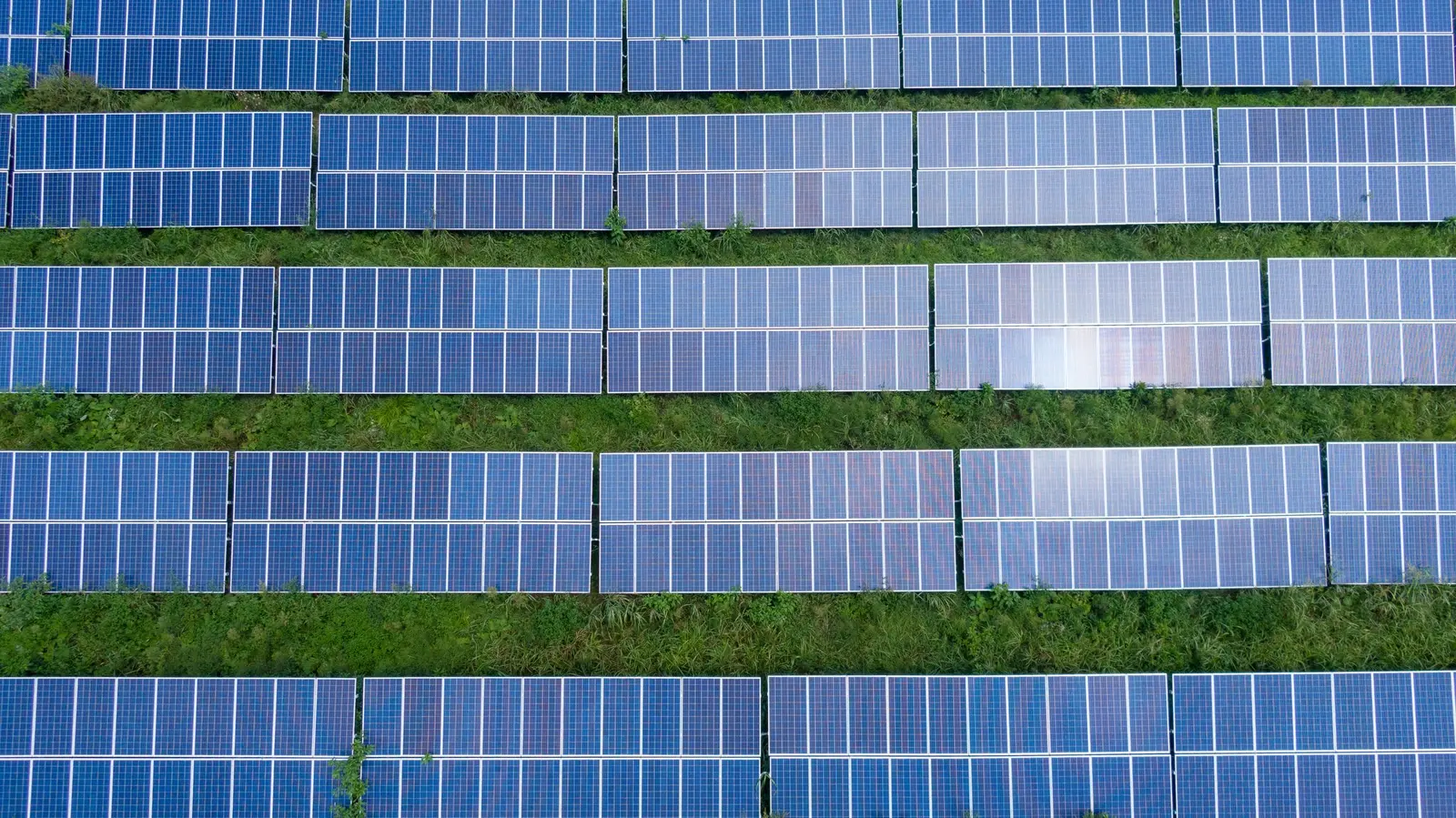File di pannelli fotovoltaici sull'erba viste dall'alto