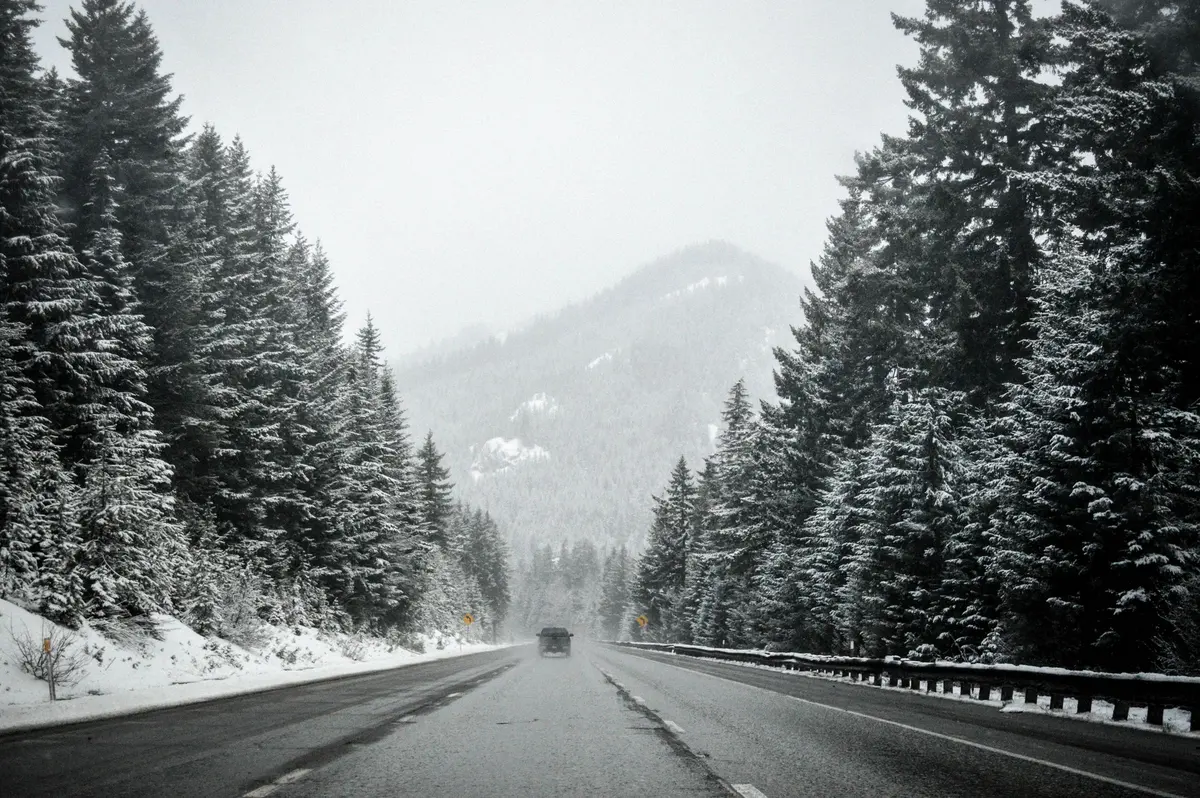 Strada di montagna innevata tra gli abeti, in bianco e nero