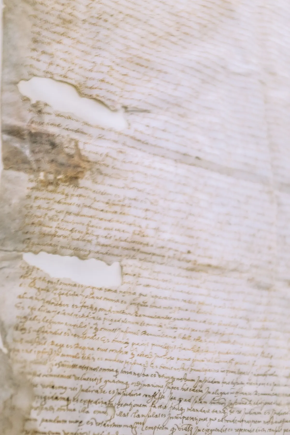 Documento antico su pergamena, scrittura corsiva fuori fuoco