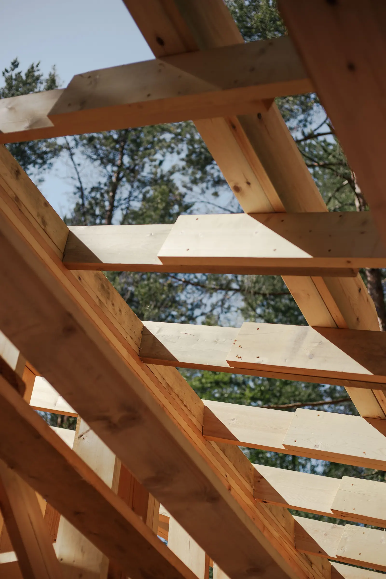 Travi e listelli di legno del tetto visti dal basso, con il cielo e gli alberi dietro