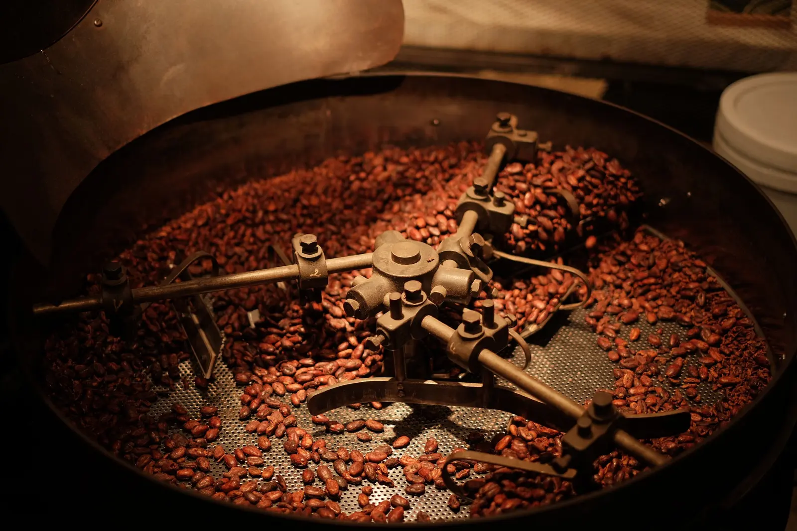 Fave di cacao nella tostatrice a tamburo, con la pala che le gira