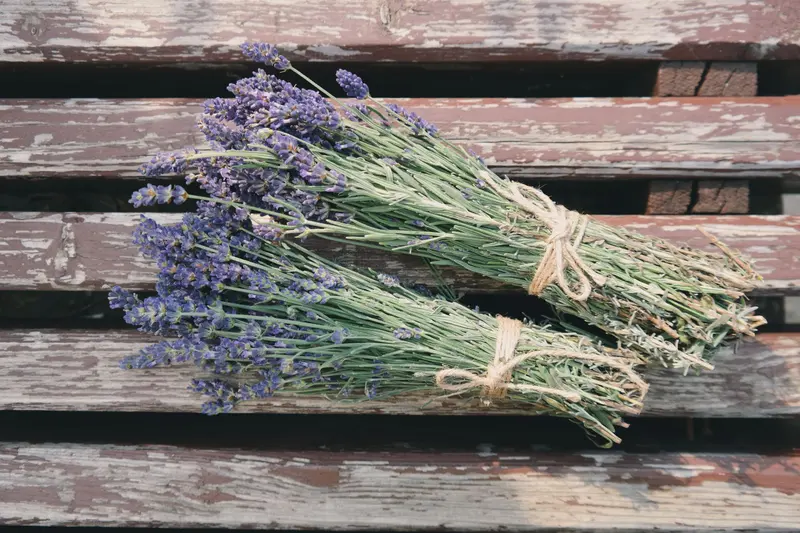 Mazzi di lavanda legati con lo spago su una panca di legno