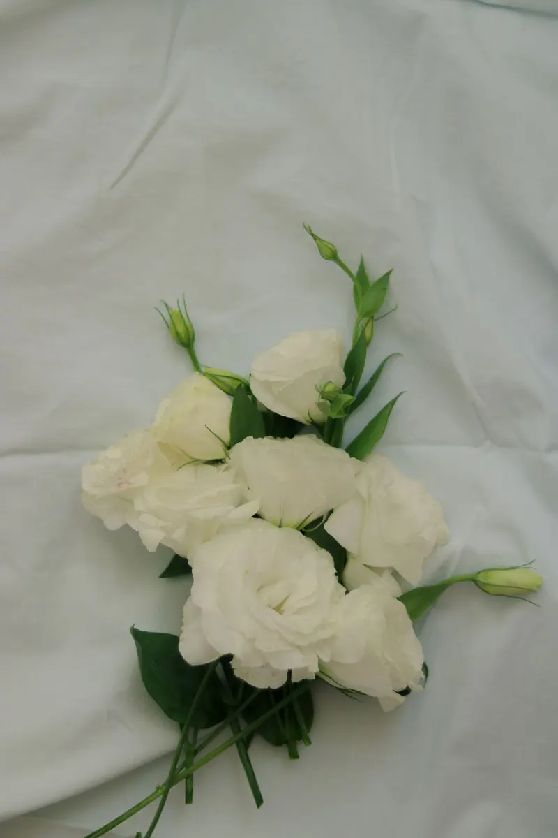 Lisianthus bianchi appoggiati su un tessuto chiaro