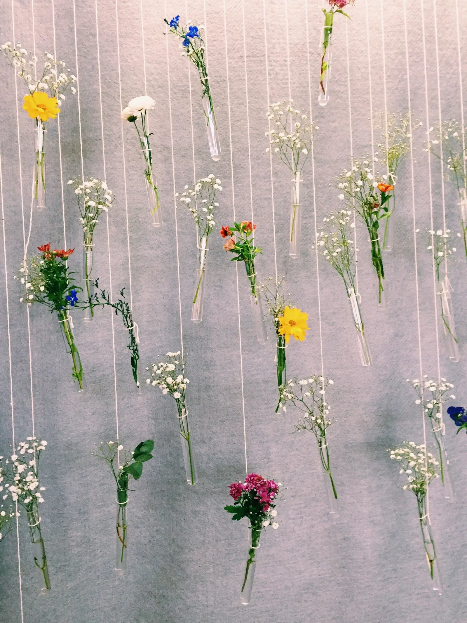 Fiori diversi sospesi uno per uno a fili sottili, davanti a un muro chiaro