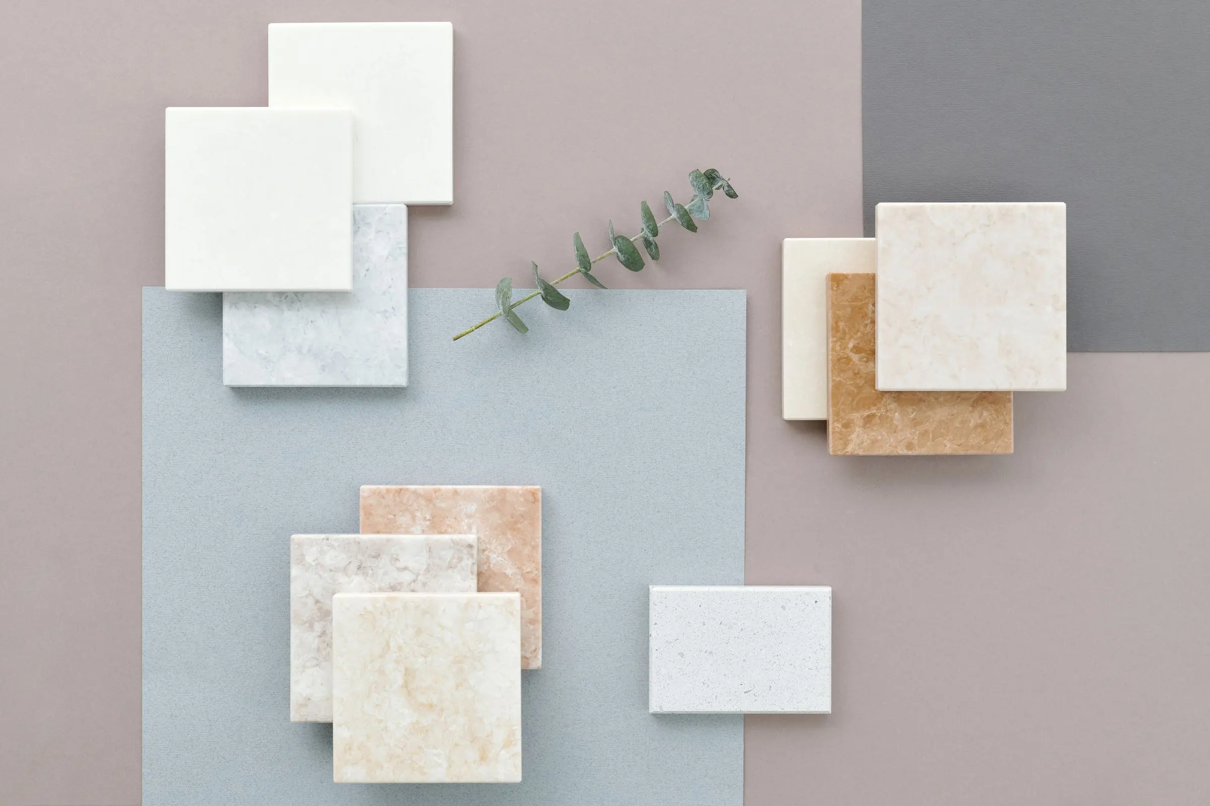 Campioni di pietra e ceramica chiara su cartoncini rosa e grigi, con un rametto di eucalipto