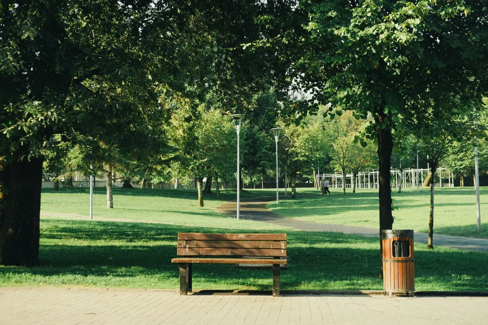 Panchina in legno con un cestino accanto, in un parco con un lungo viale alberato