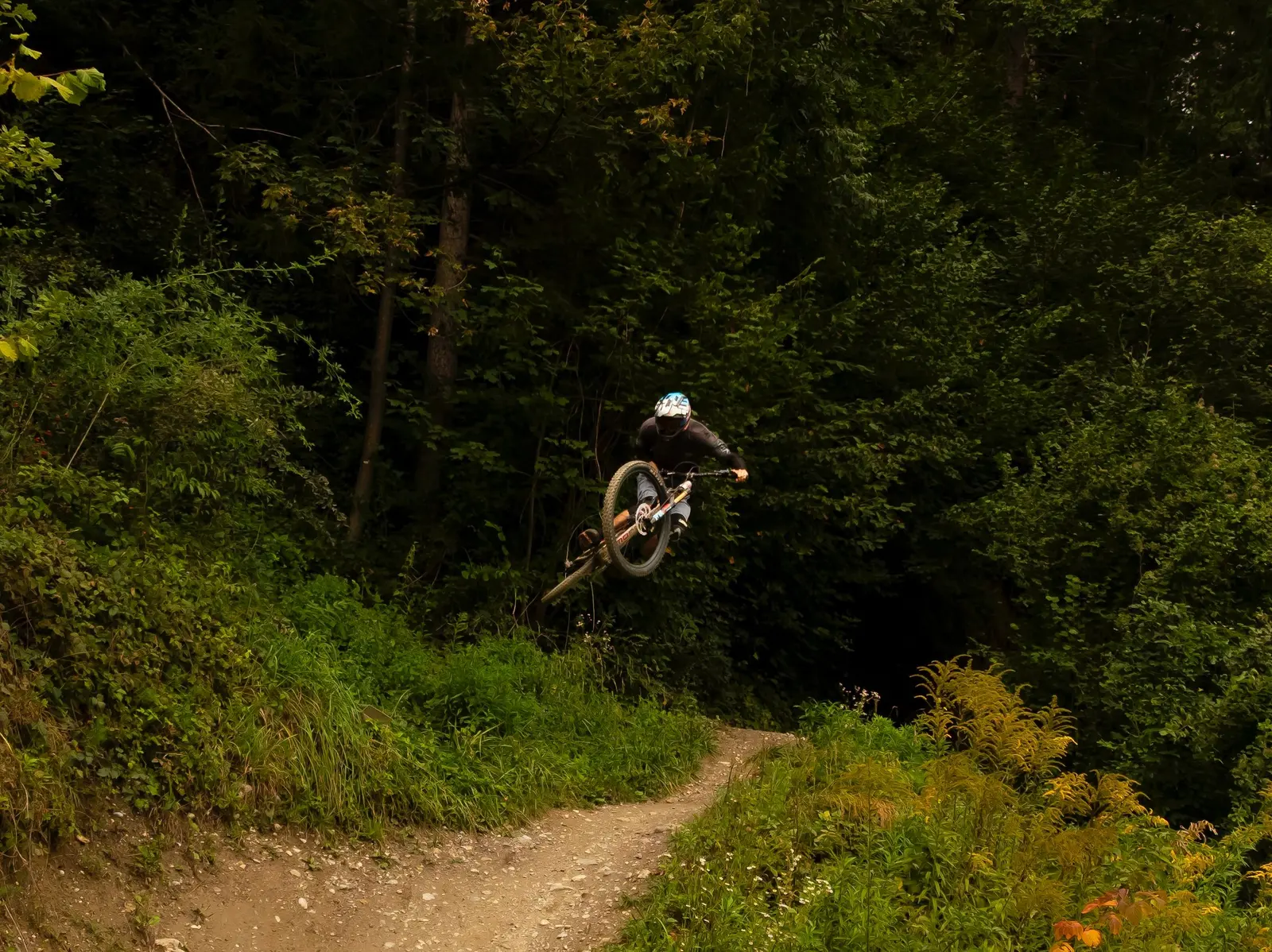 Un rider in volo su un sentiero nel bosco, piccolo nell'inquadratura