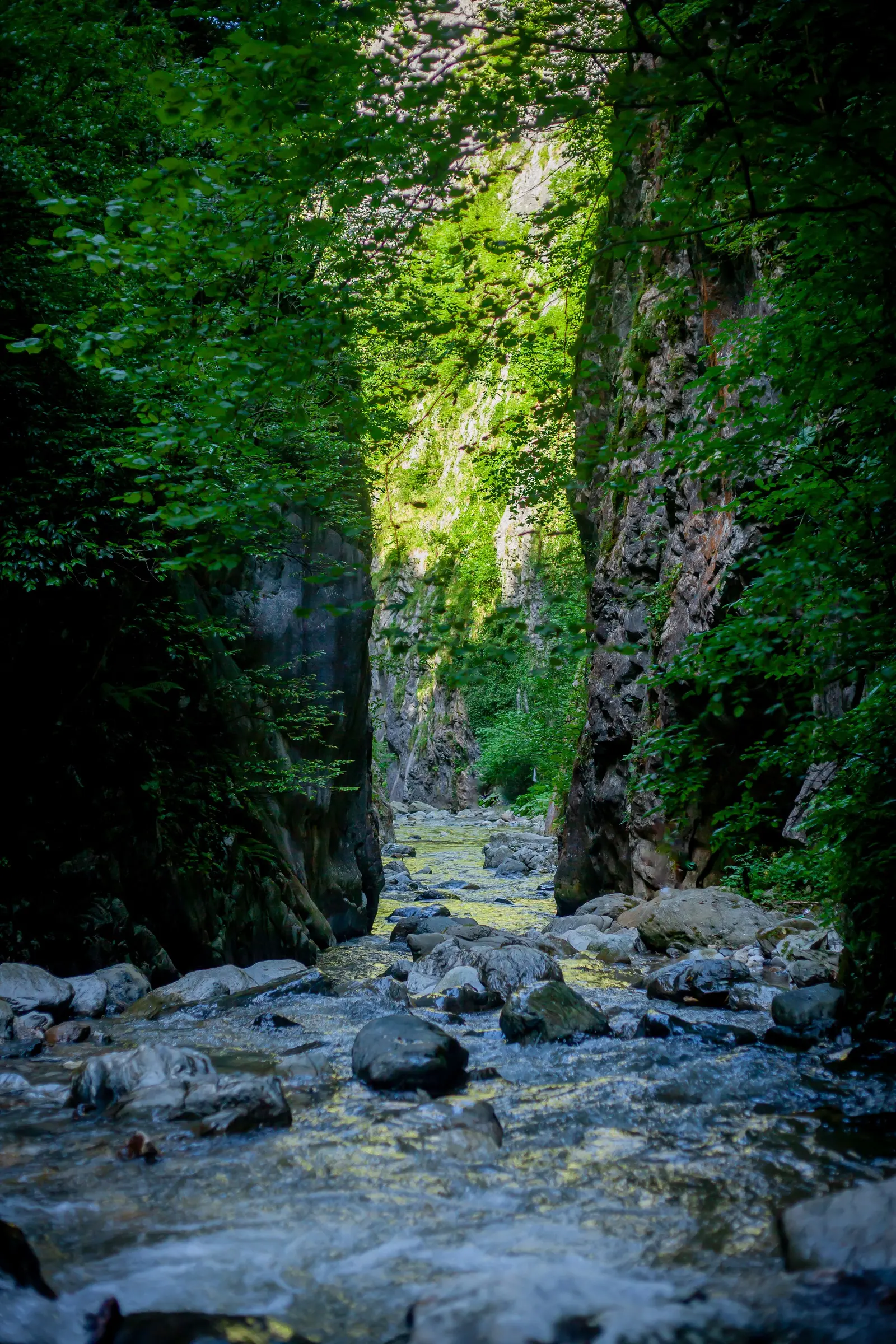 Una forra stretta e verde con il torrente che scorre sul fondo tra i sassi