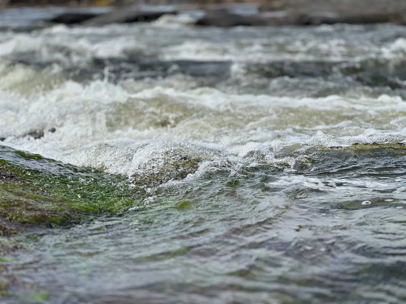 Una rapida vista a pelo d'acqua, come la vede chi scende in hydrospeed