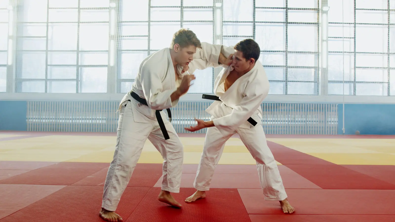 Due karateka con la cintura nera in guardia sul tatami, sotto finestre alte