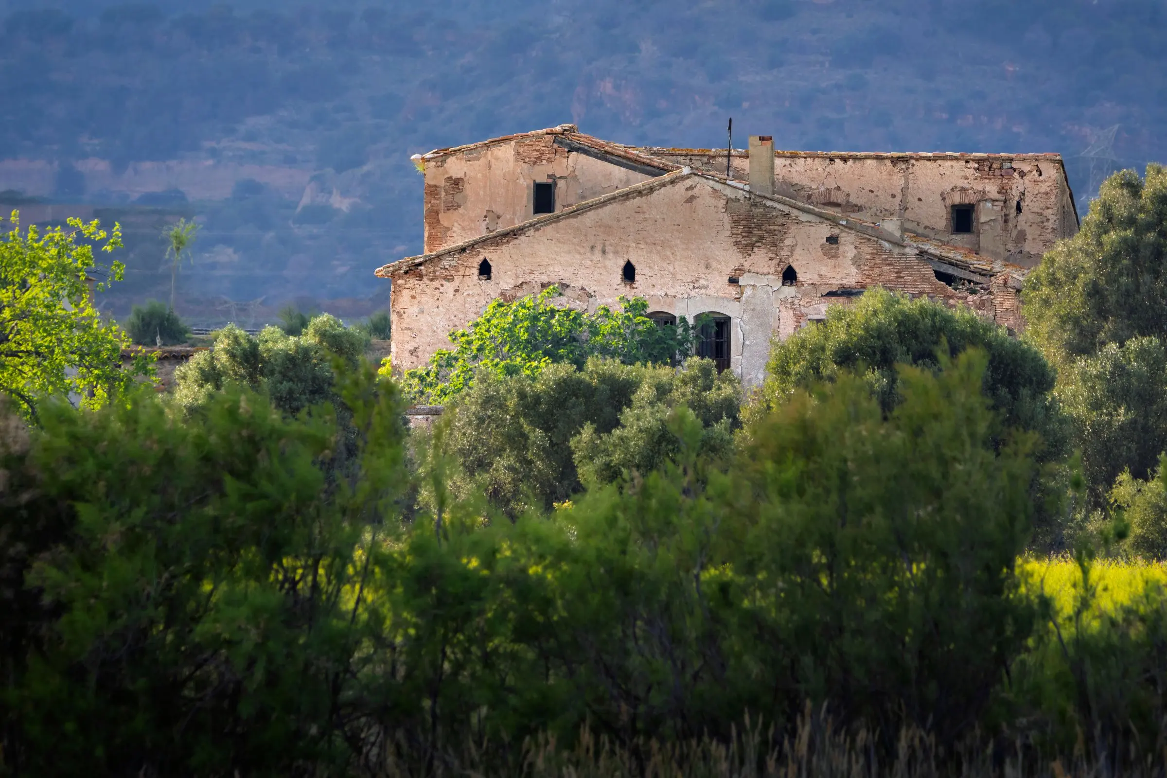 Grande casale in pietra a più corpi, com'era prima dei lavori: intonaci caduti e vegetazione intorno