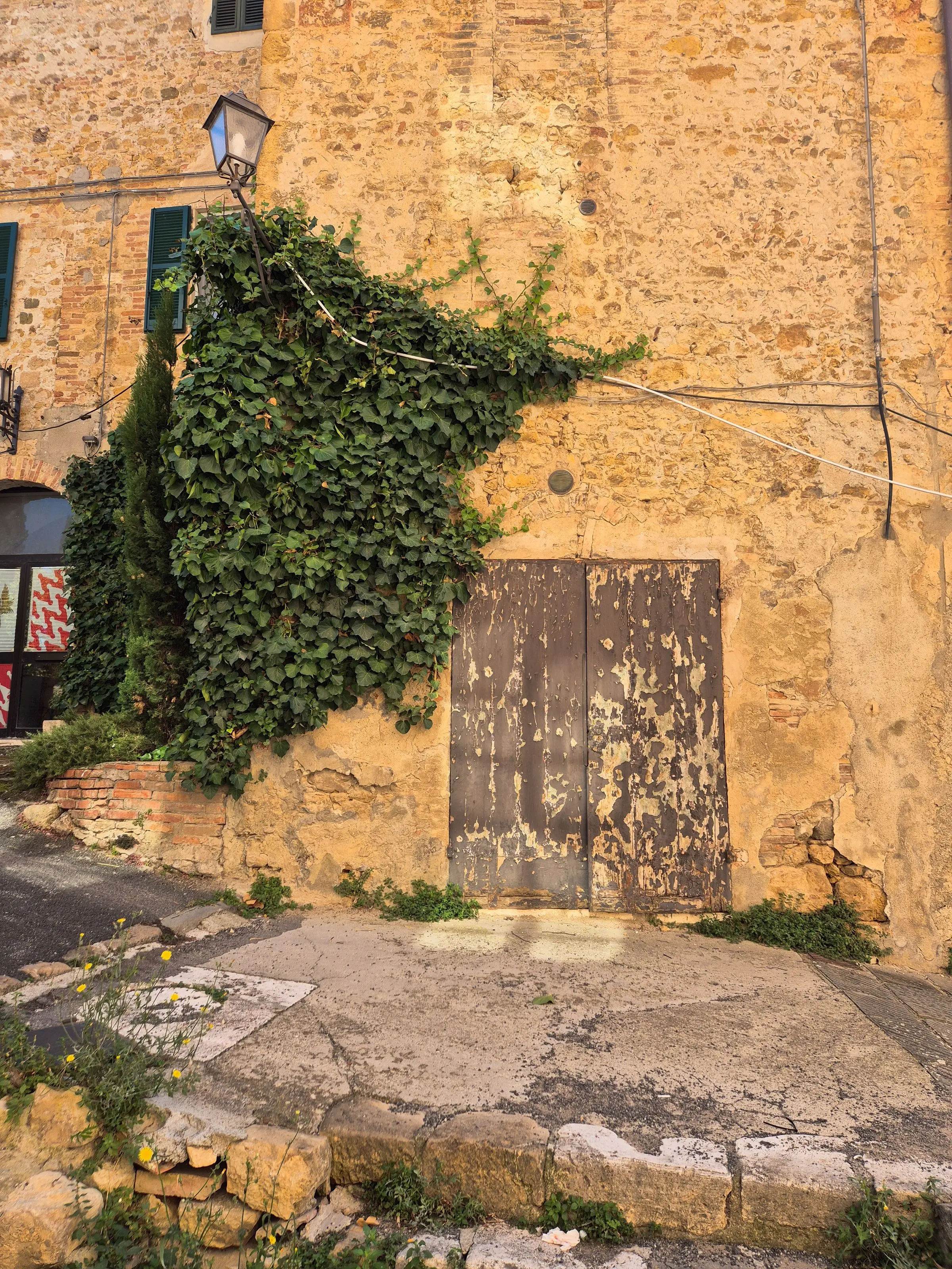 Muro intonacato color ocra con edera e una vecchia porta di legno consumata