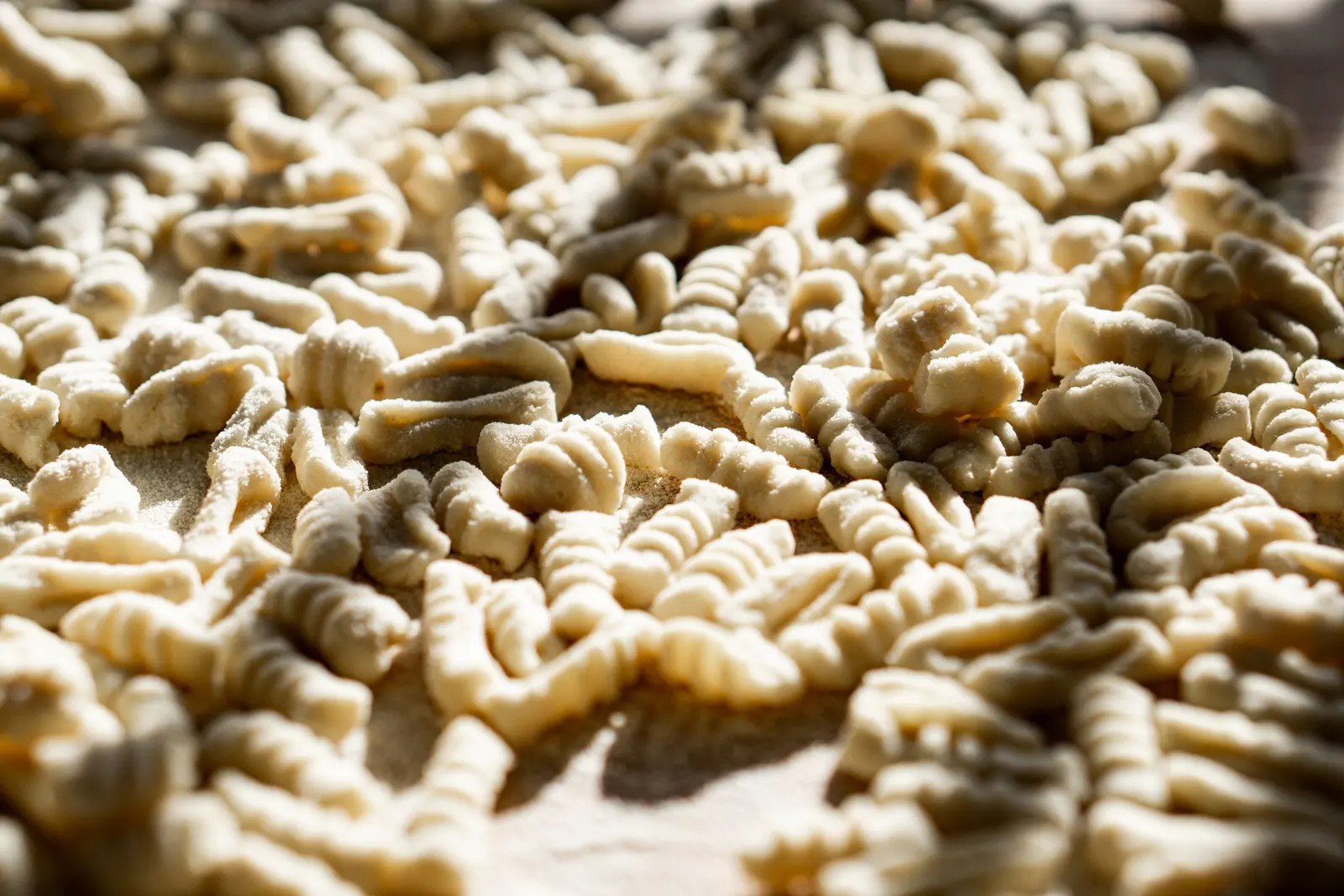 Pasta corta ruvida stesa ad asciugare, nella luce radente