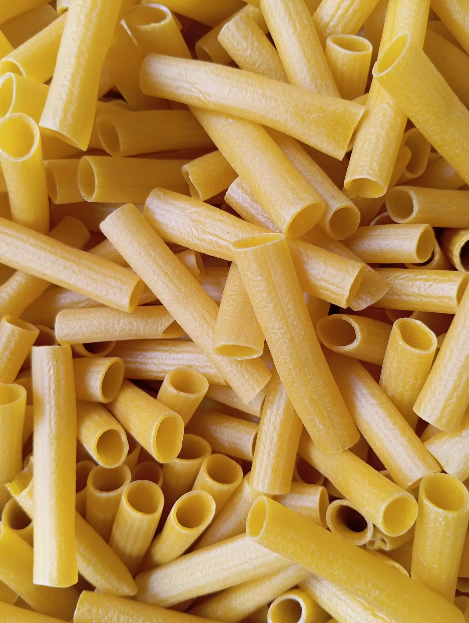 Maccheroni secchi lisci e rigati visti dall'alto, superficie opaca