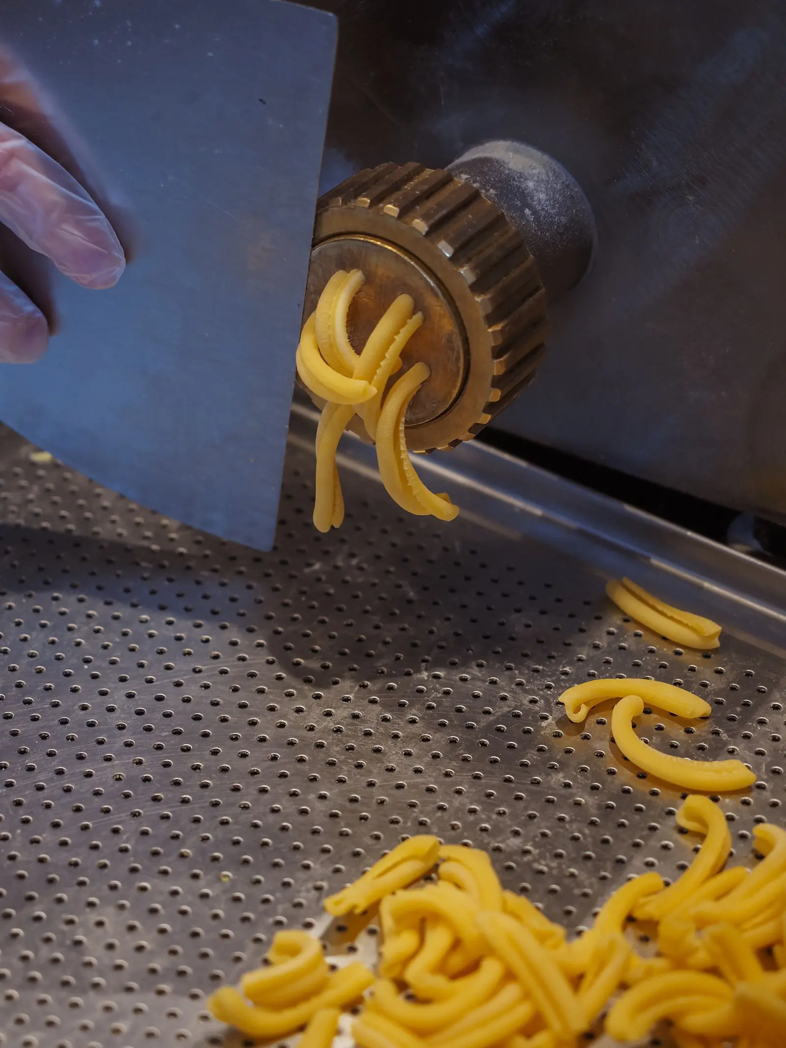 La trafila di bronzo della pressa fa uscire la pasta corta sul piano forato d'acciaio