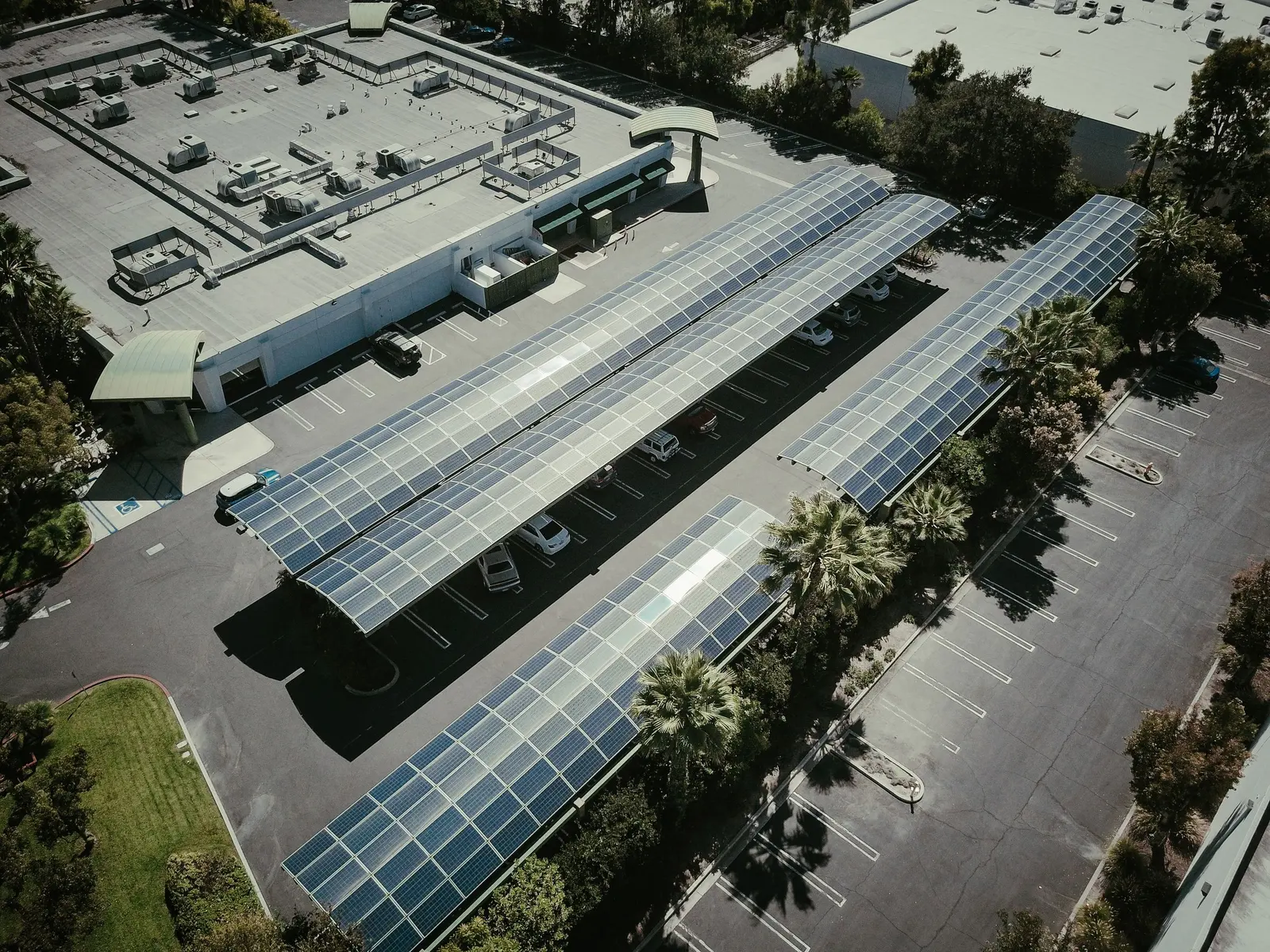 Parcheggio visto dal drone con tre file di pensiline fotovoltaiche tra le palme, accanto a un edificio commerciale