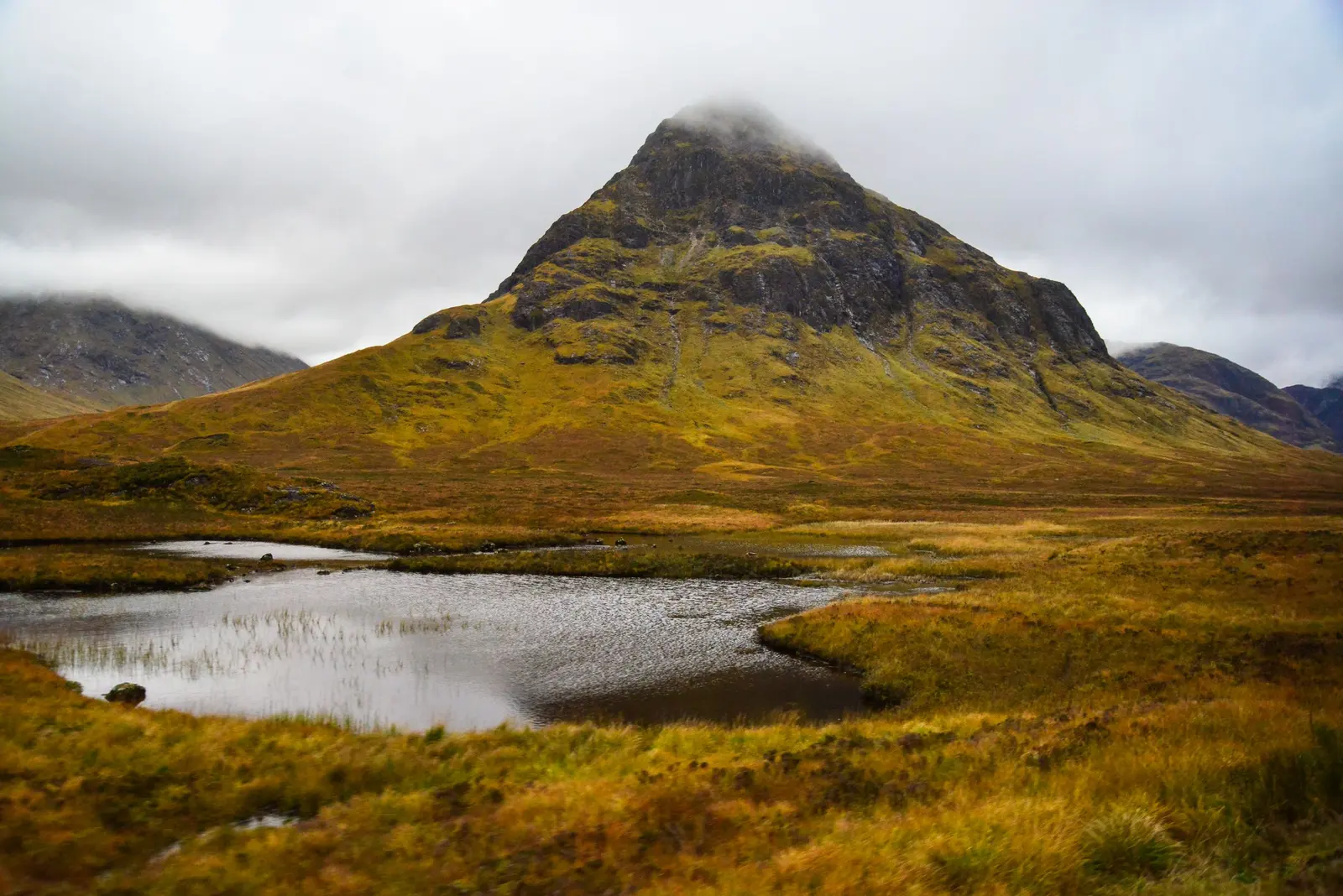 Una montagna a piramide sopra la brughiera dorata e un laghetto, nelle Highlands in autunno