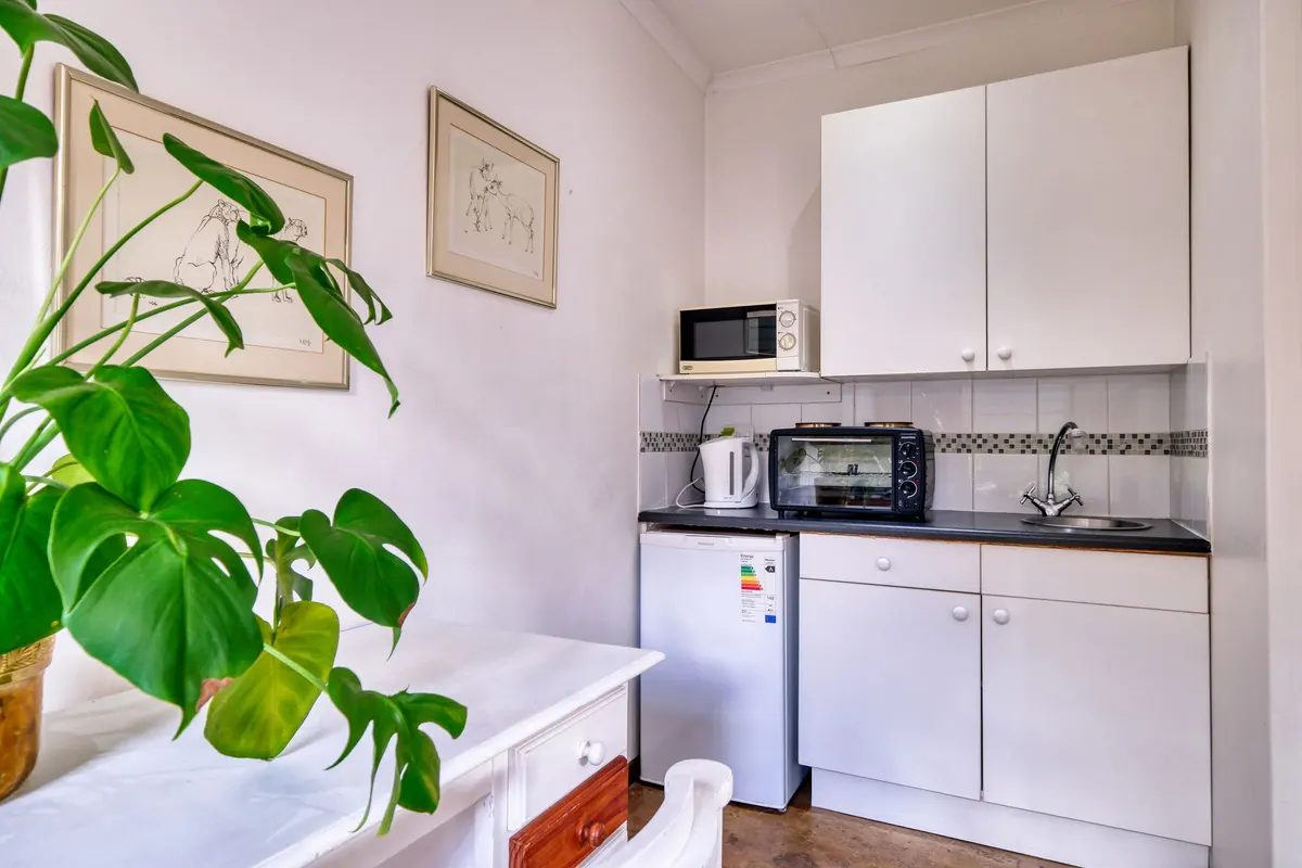 Cucinino bianco con piccolo forno, frigorifero e una grande pianta in primo piano