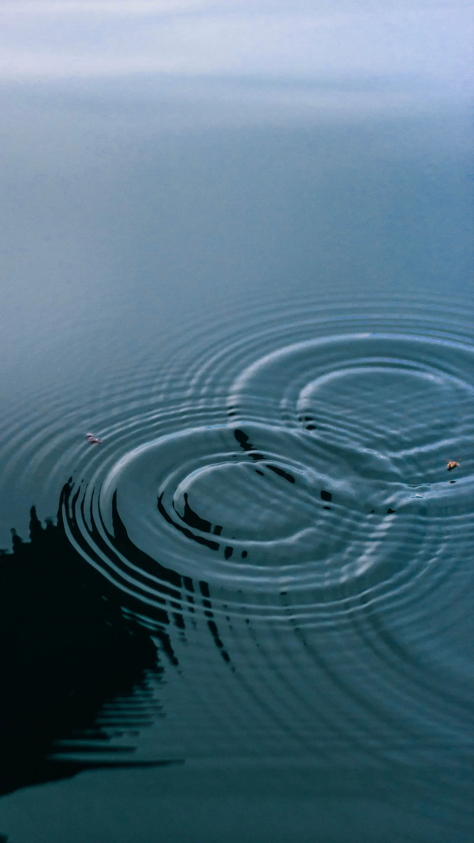 Cerchi concentrici sull'acqua ferma