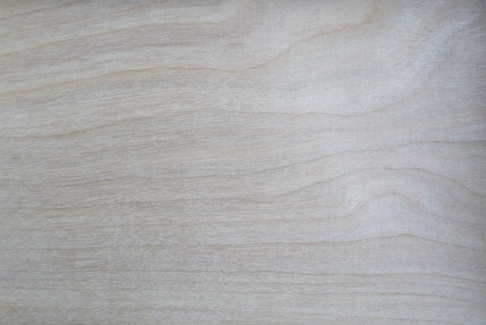 Superficie di legno chiaro con venatura morbida, da vicino