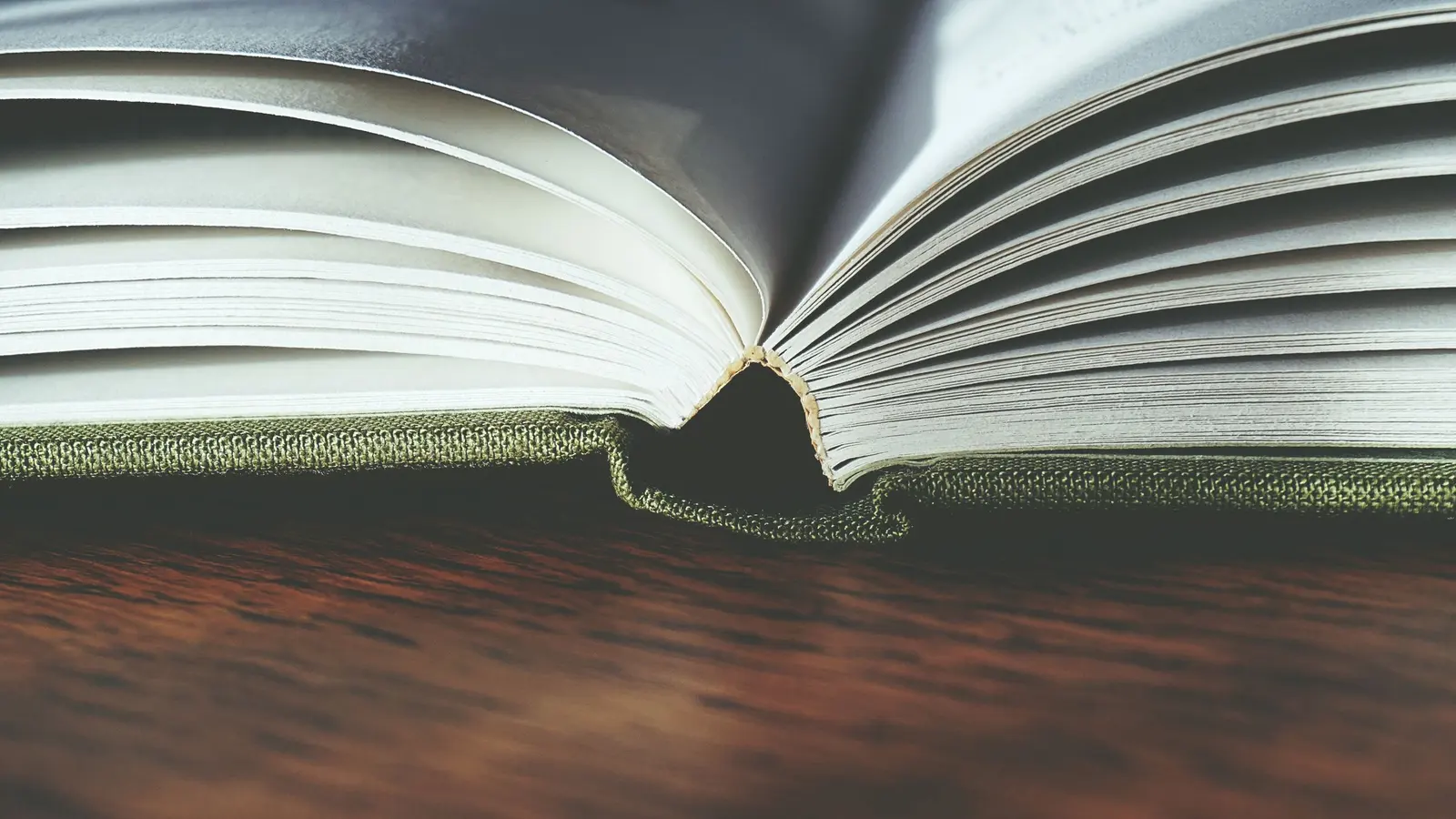Un libro aperto visto di taglio: il dorso in tela e i fascicoli cuciti uno accanto all’altro