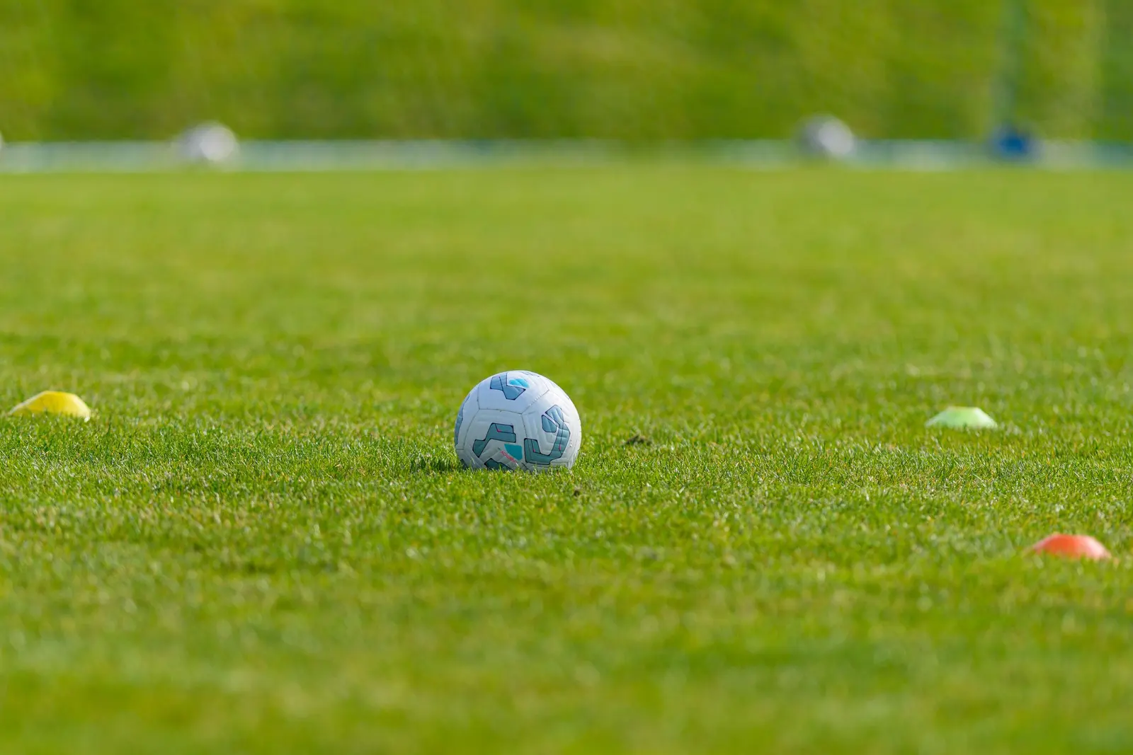 Pallone e cinesini colorati sull'erba