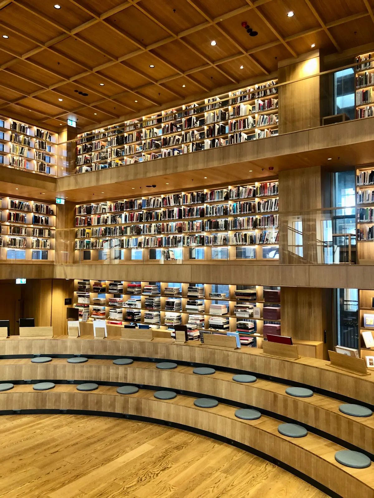 Biblioteca moderna in legno con gradinate e scaffali