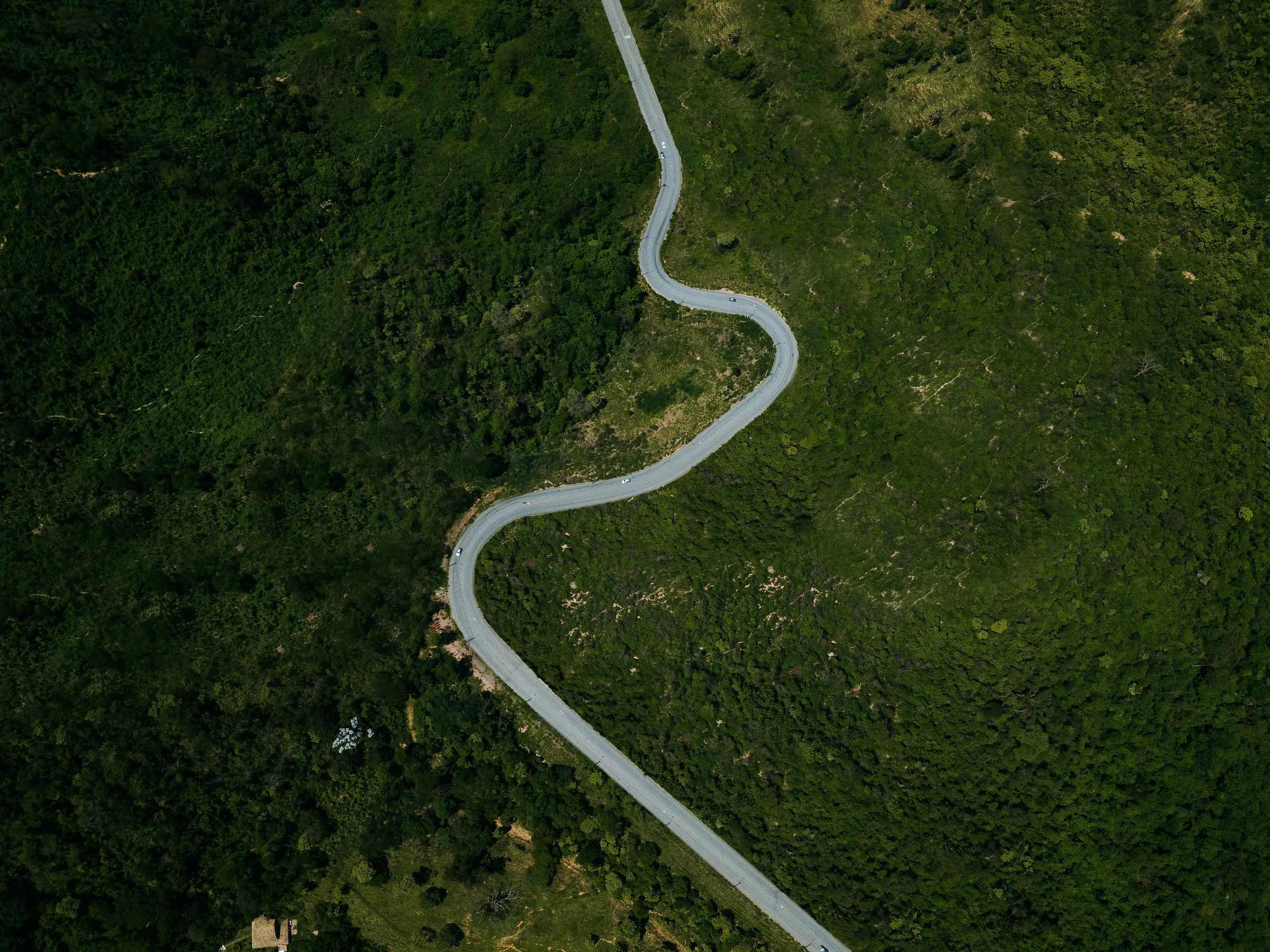 Una strada sottile che serpeggia in una valle verde scuro, vista dall'alto
