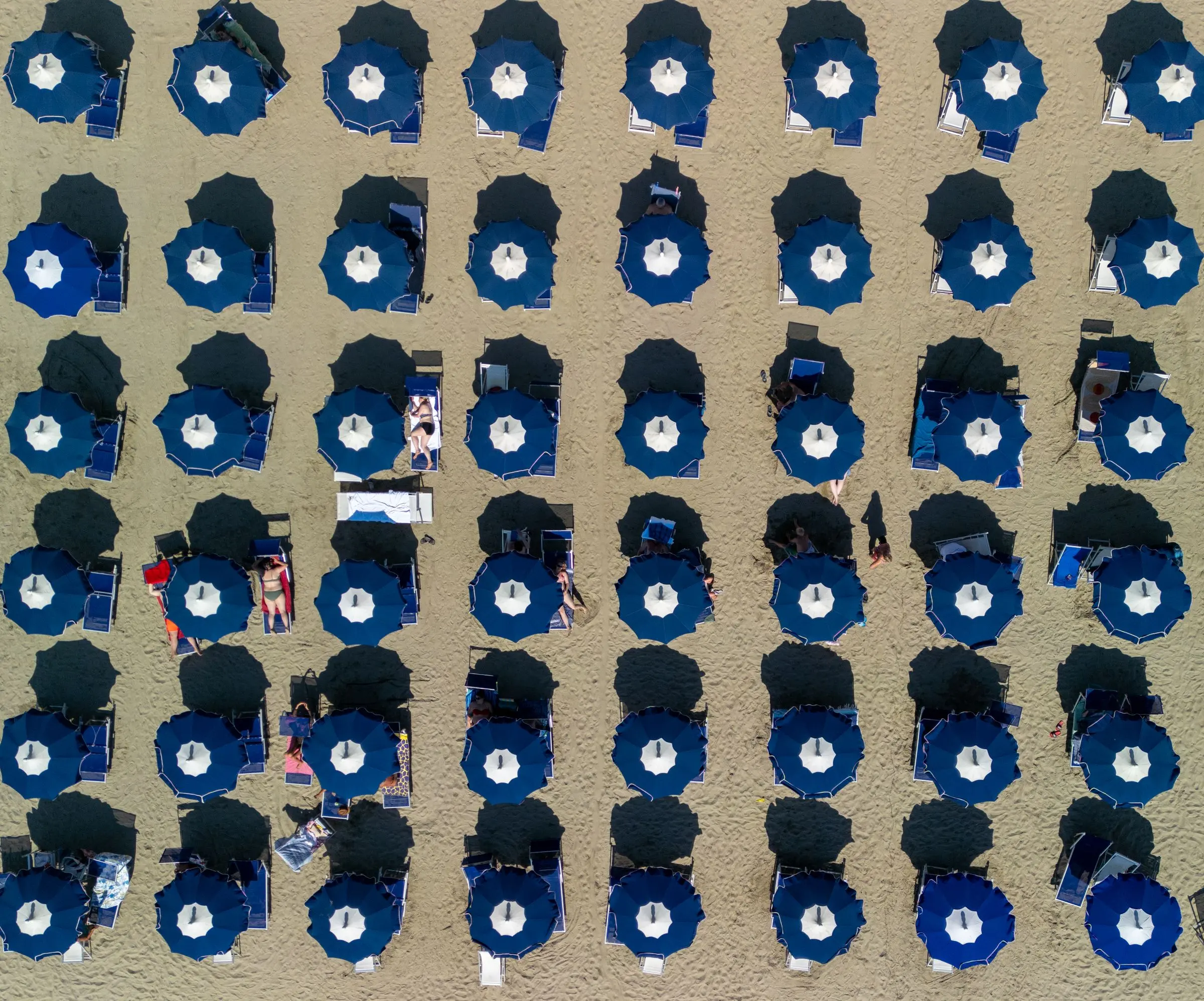 Ombrelloni blu in file ordinate sulla spiaggia, visti dall'alto