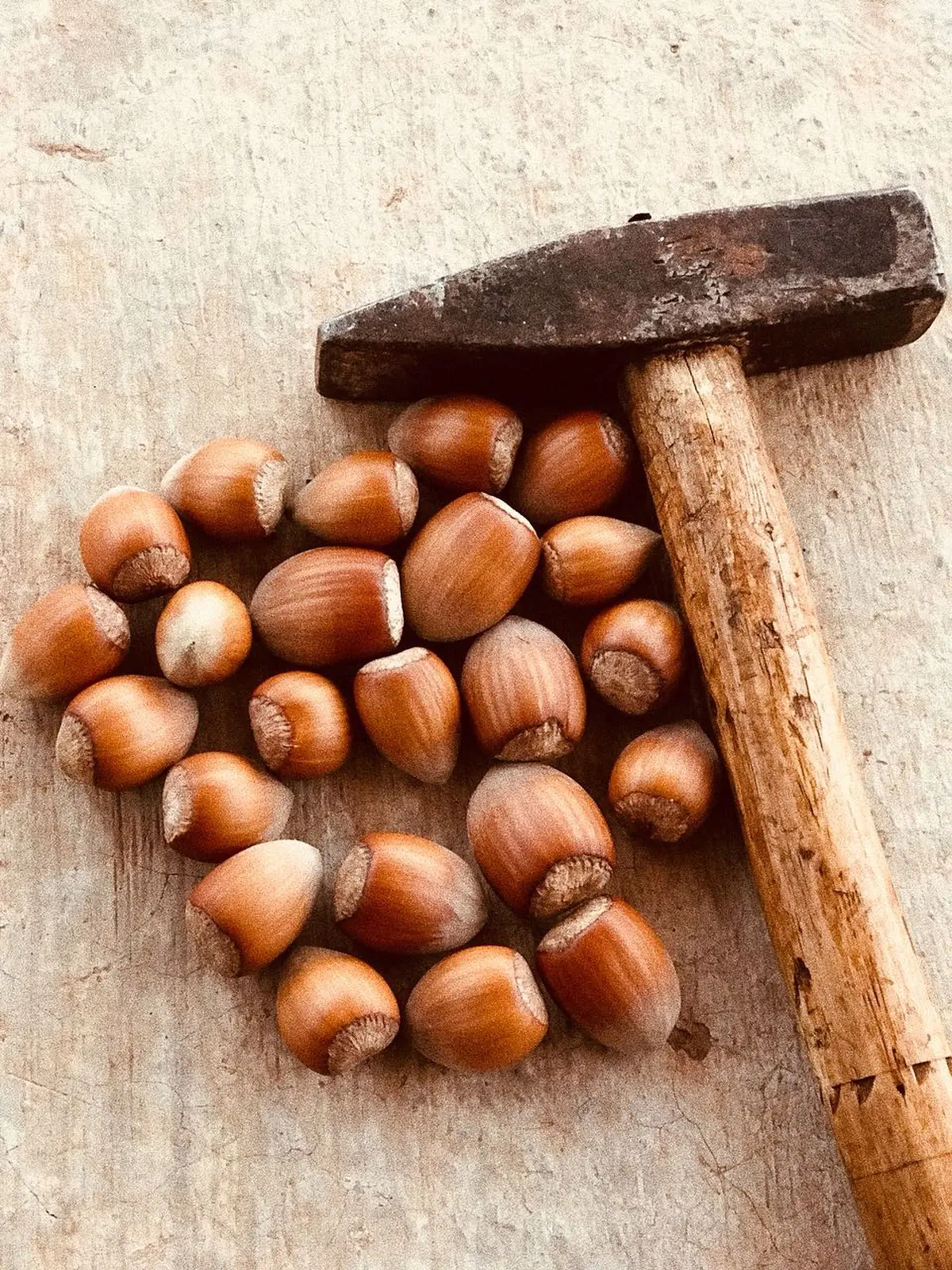 Nocciole sgusciate su un piano di legno