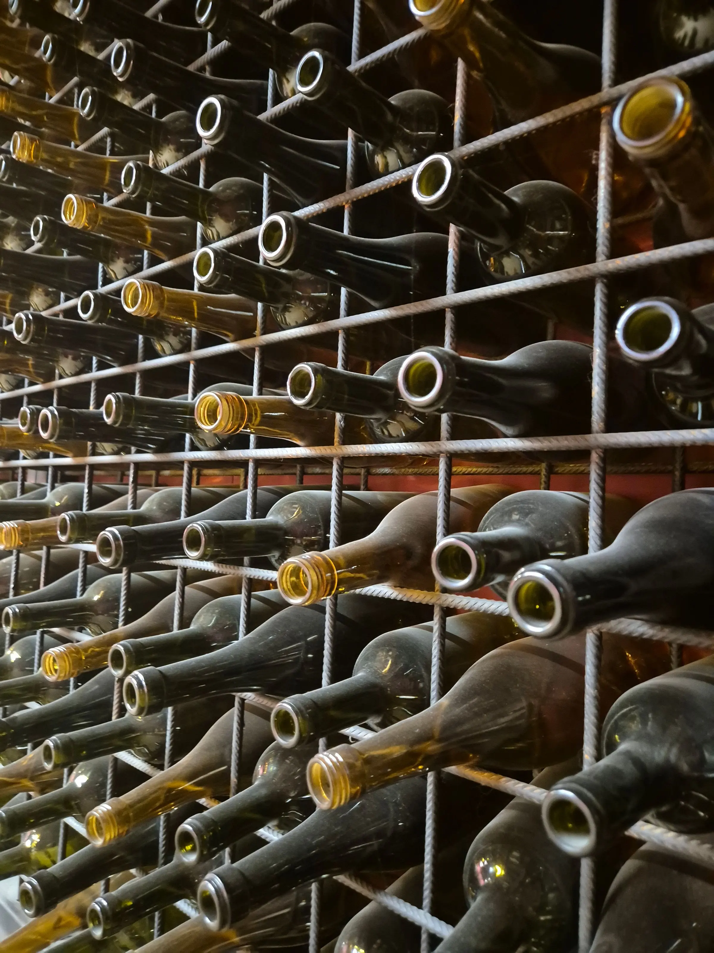 Bottiglie coricate su una rastrelliera metallica in cantina