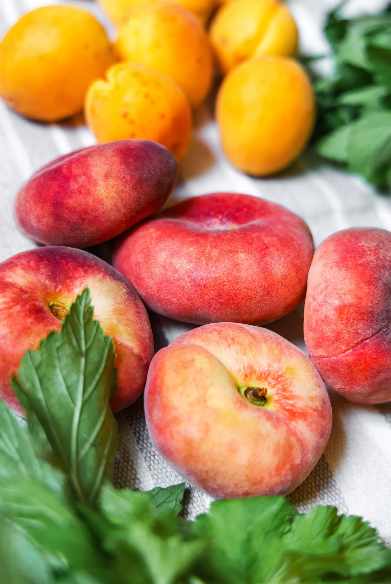 Pesche e albicocche con le foglie