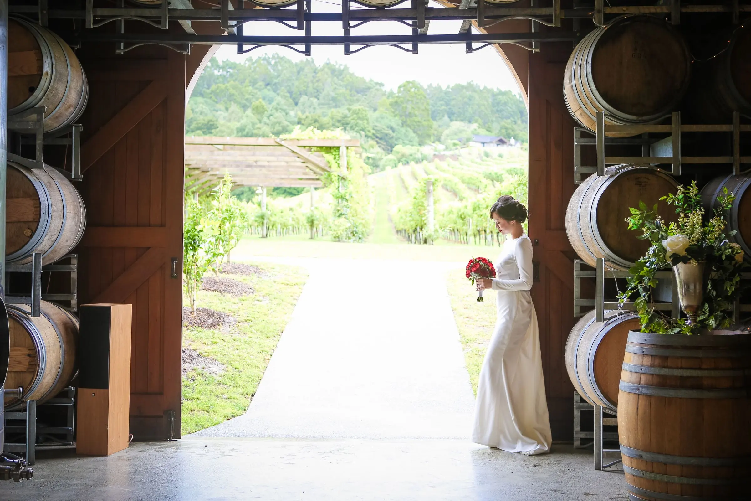 Sposa sulla soglia di una cantina con le botti di legno, fuori la luce della vigna