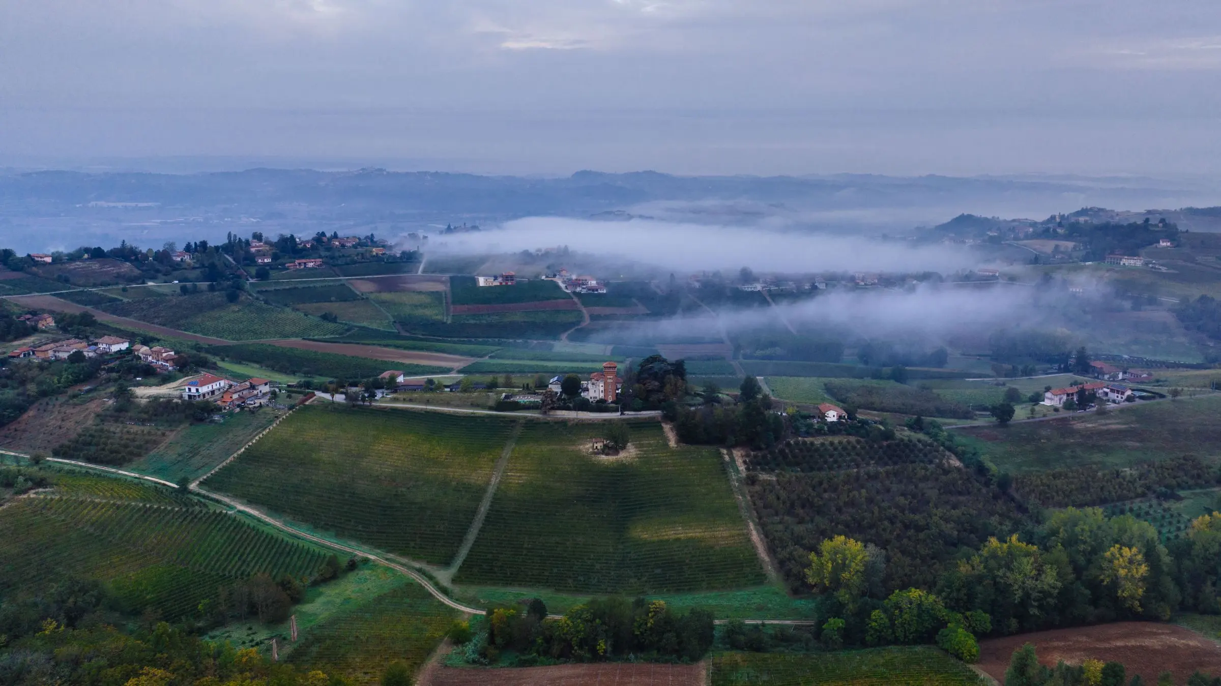 Colline a vigneto con la nebbia bassa nelle valli, viste dall'alto