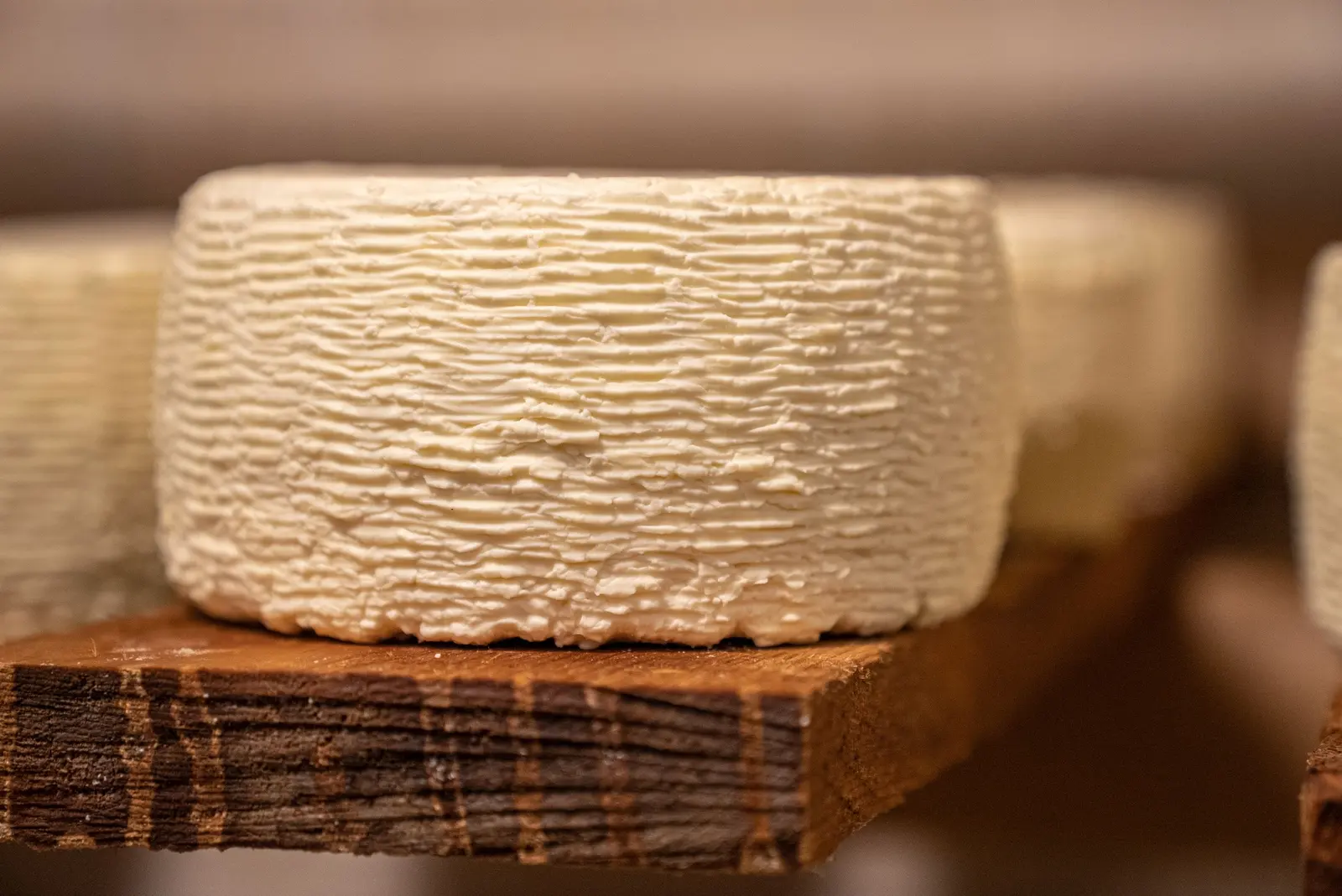 Forma di formaggio fresco su un'asse di legno