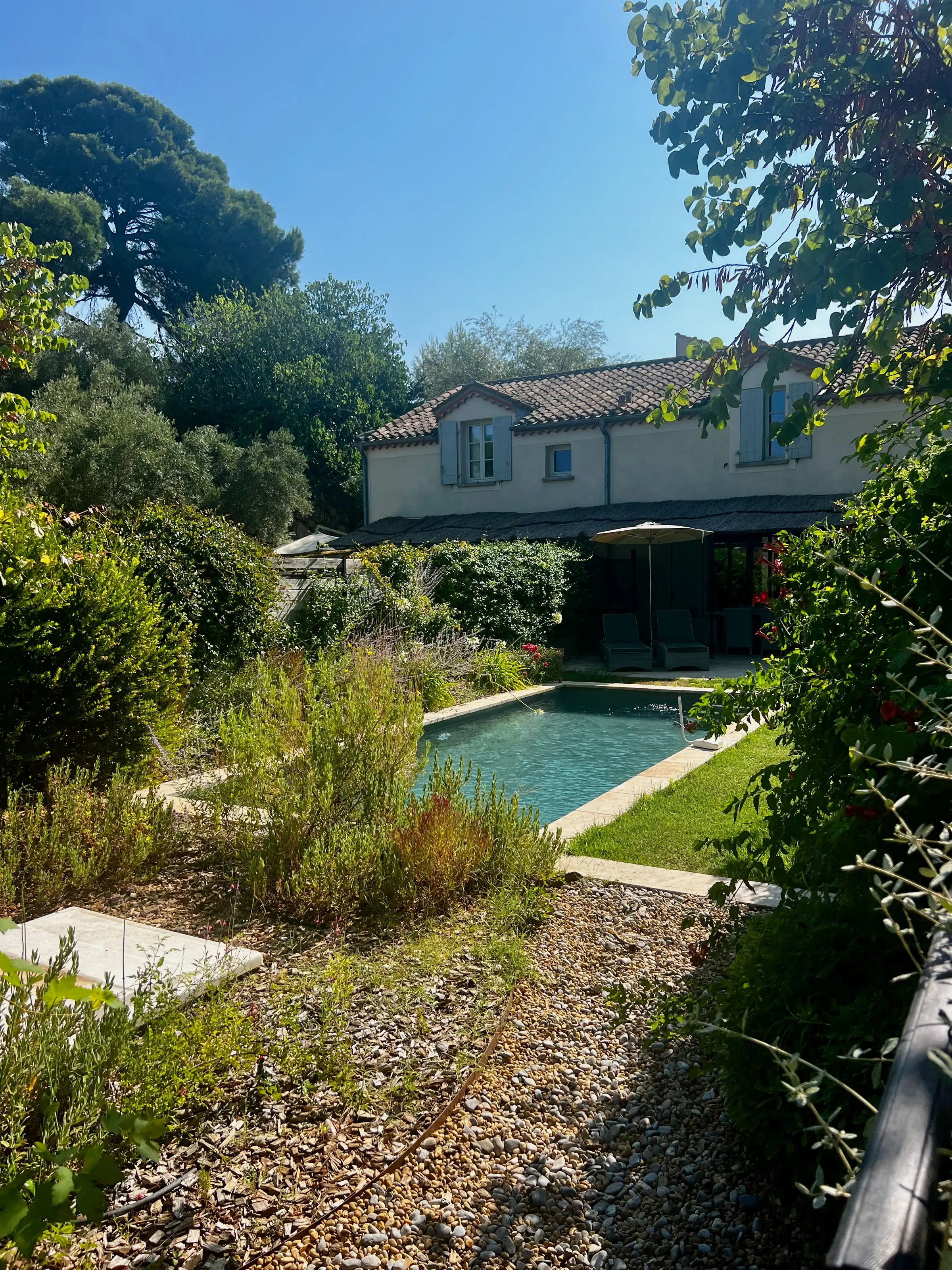 Giardino su ghiaia con erbe alte e arbusti grigi lungo una piscina, con la casa sullo sfondo tra gli alberi