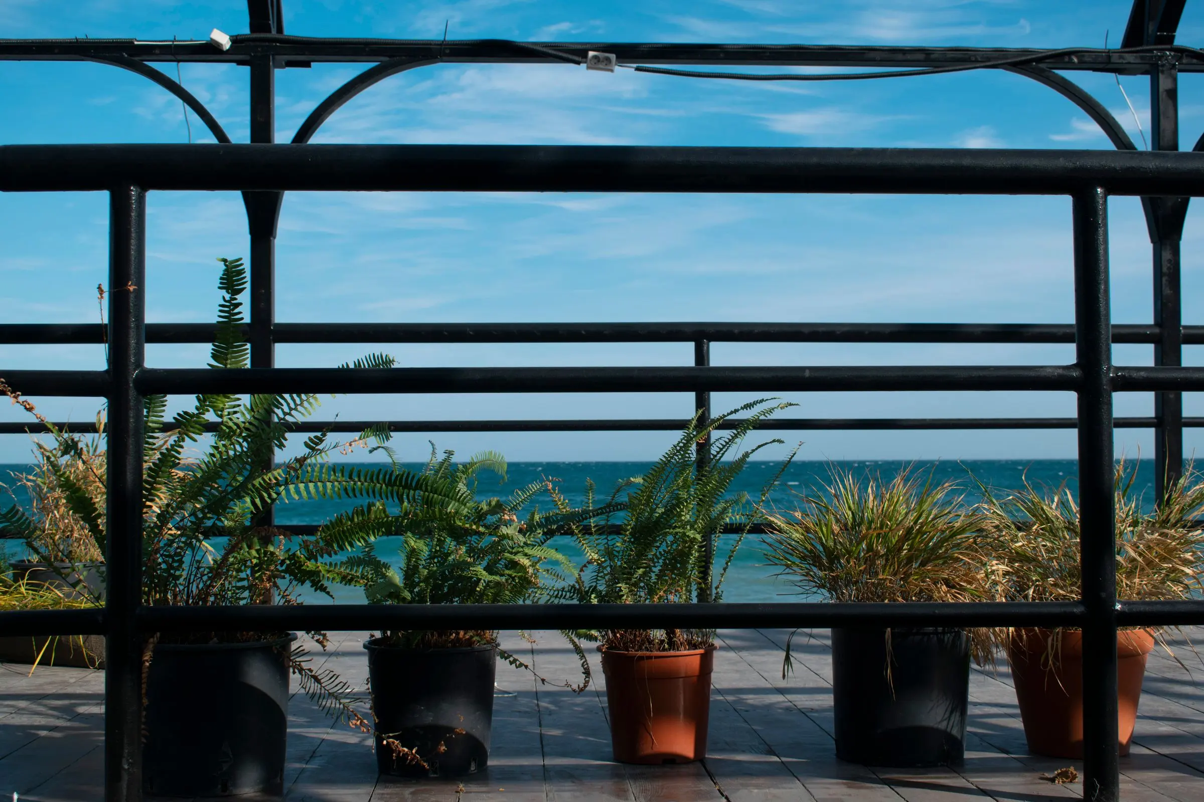 Terrazzo con piante mediterranee in vasi scuri sotto una pergola in ferro, con il mare e il cielo sullo sfondo